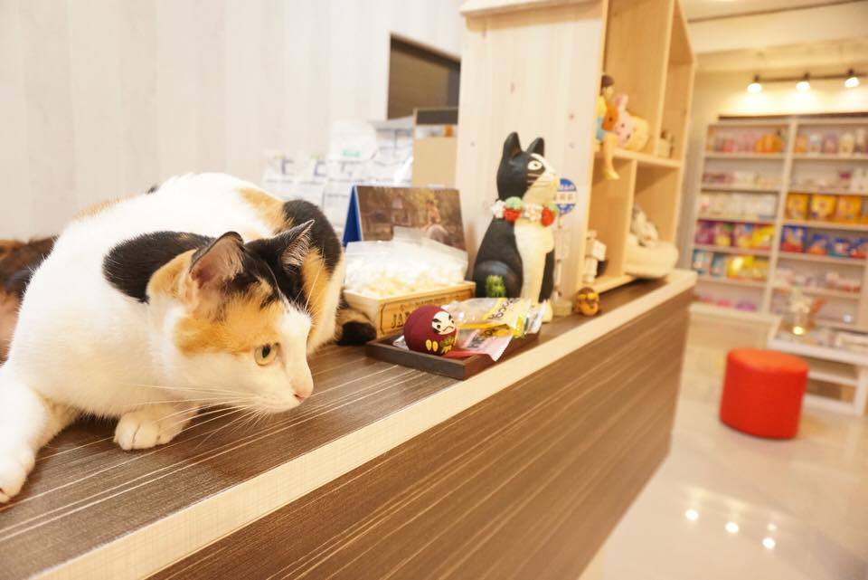 Baan-Si-Kao Pet Hospital