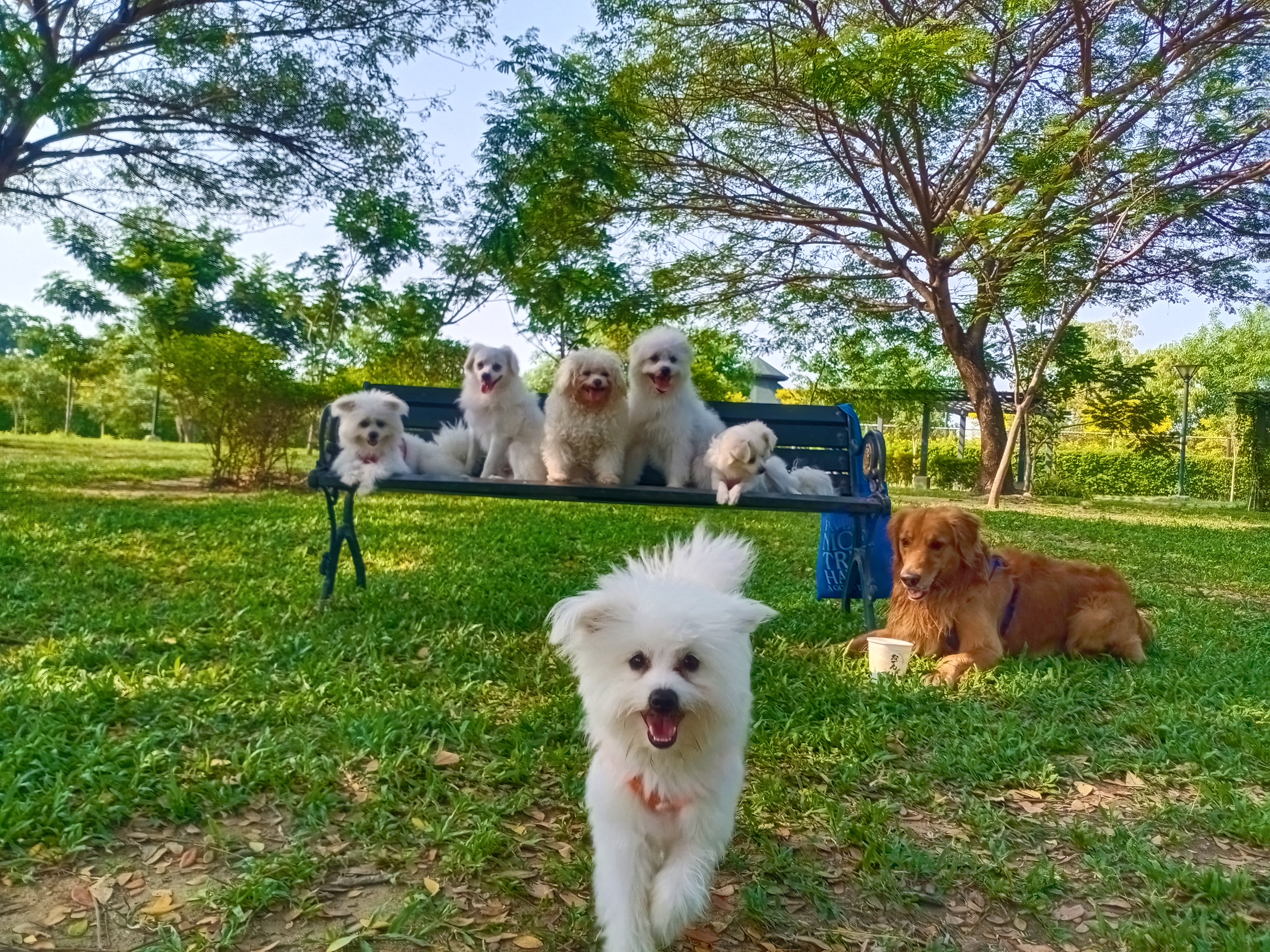 Bang Khae Phirom Park