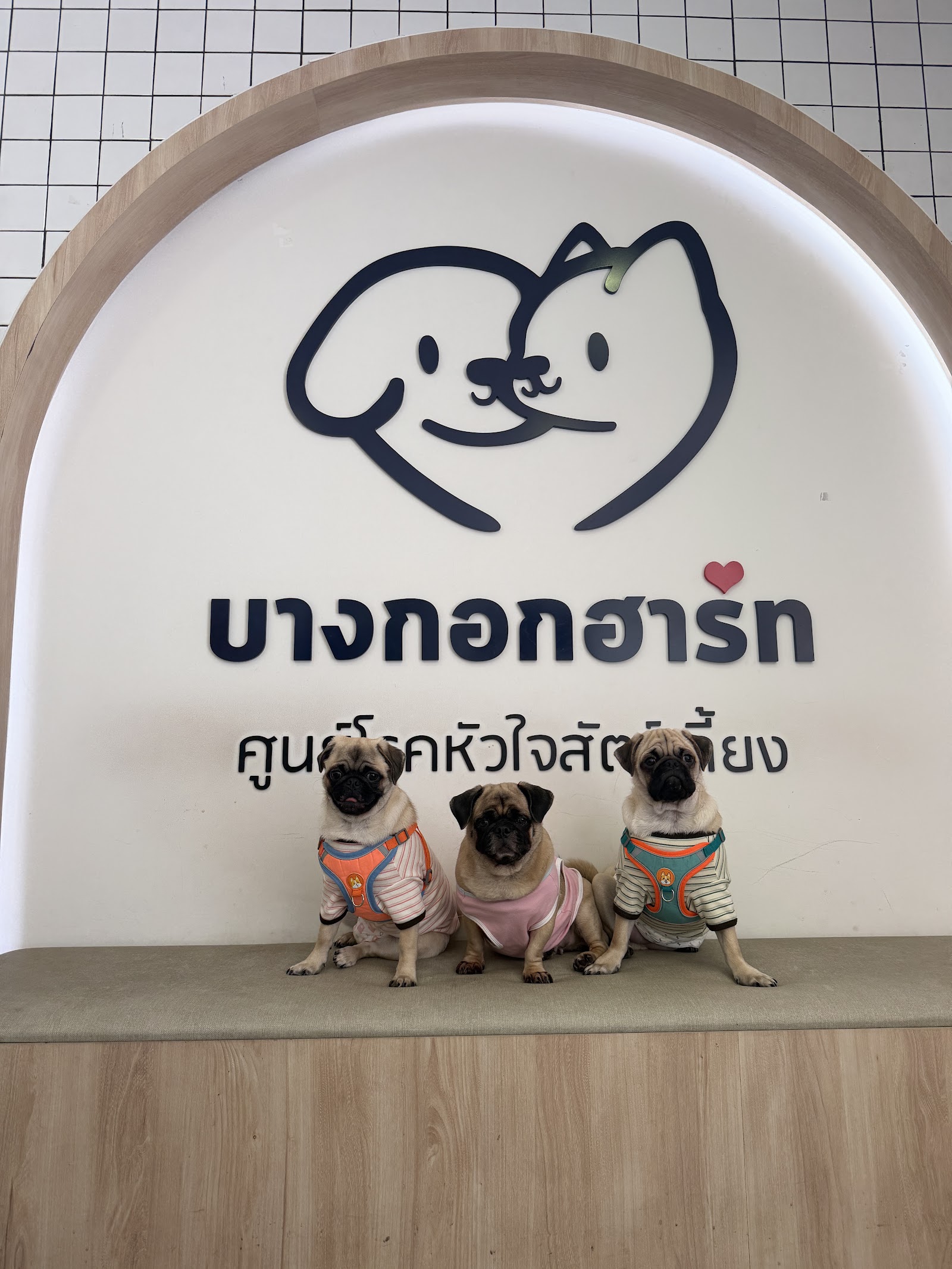 Bangkok Heart Animal Hospital Thonglor