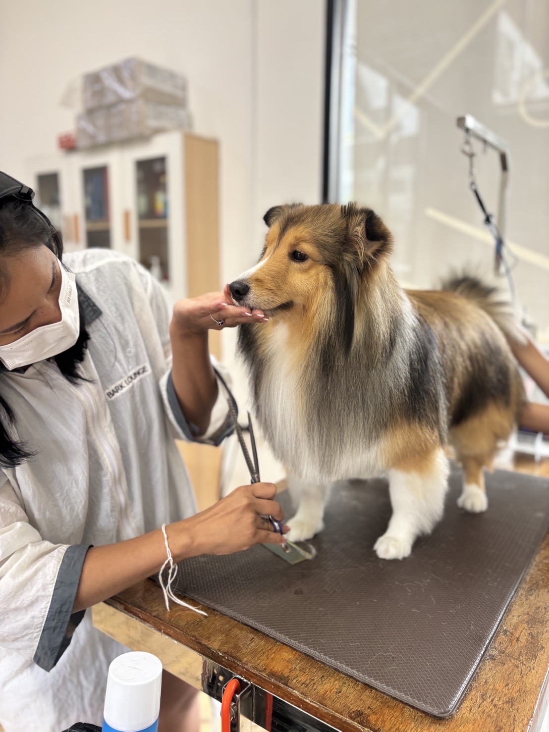 Bark lounge