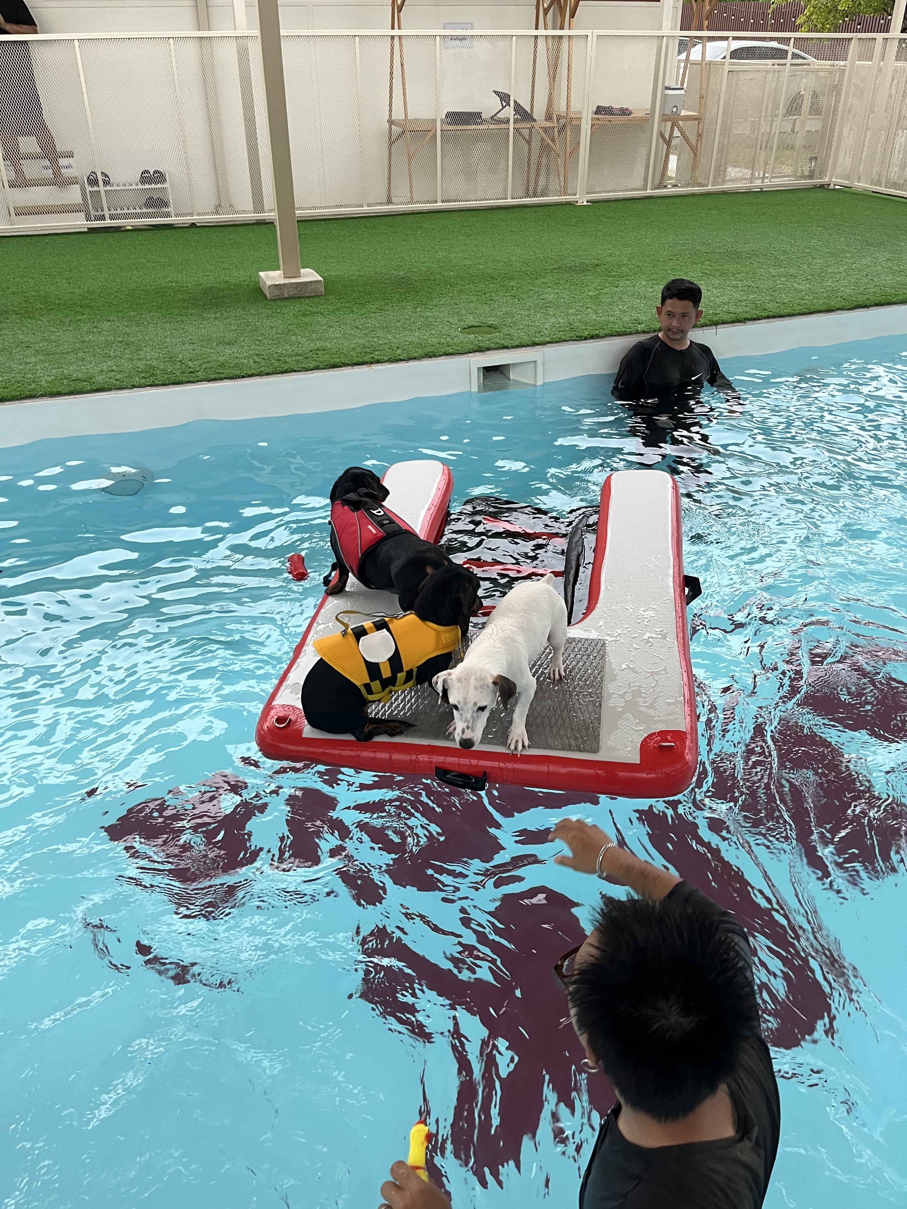 BARKTOPIA DOG PARK BKK
