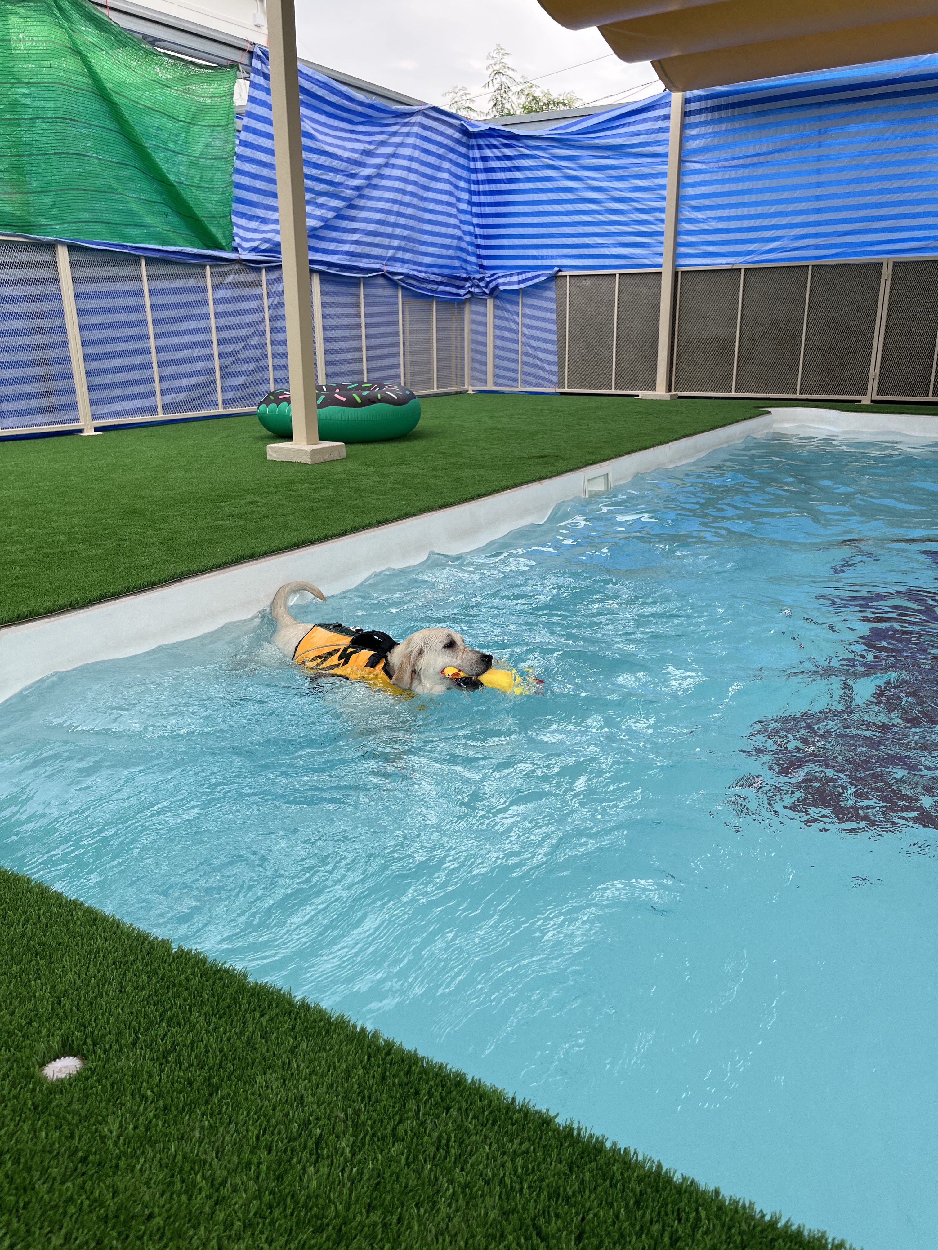 BARKTOPIA DOG PARK BKK