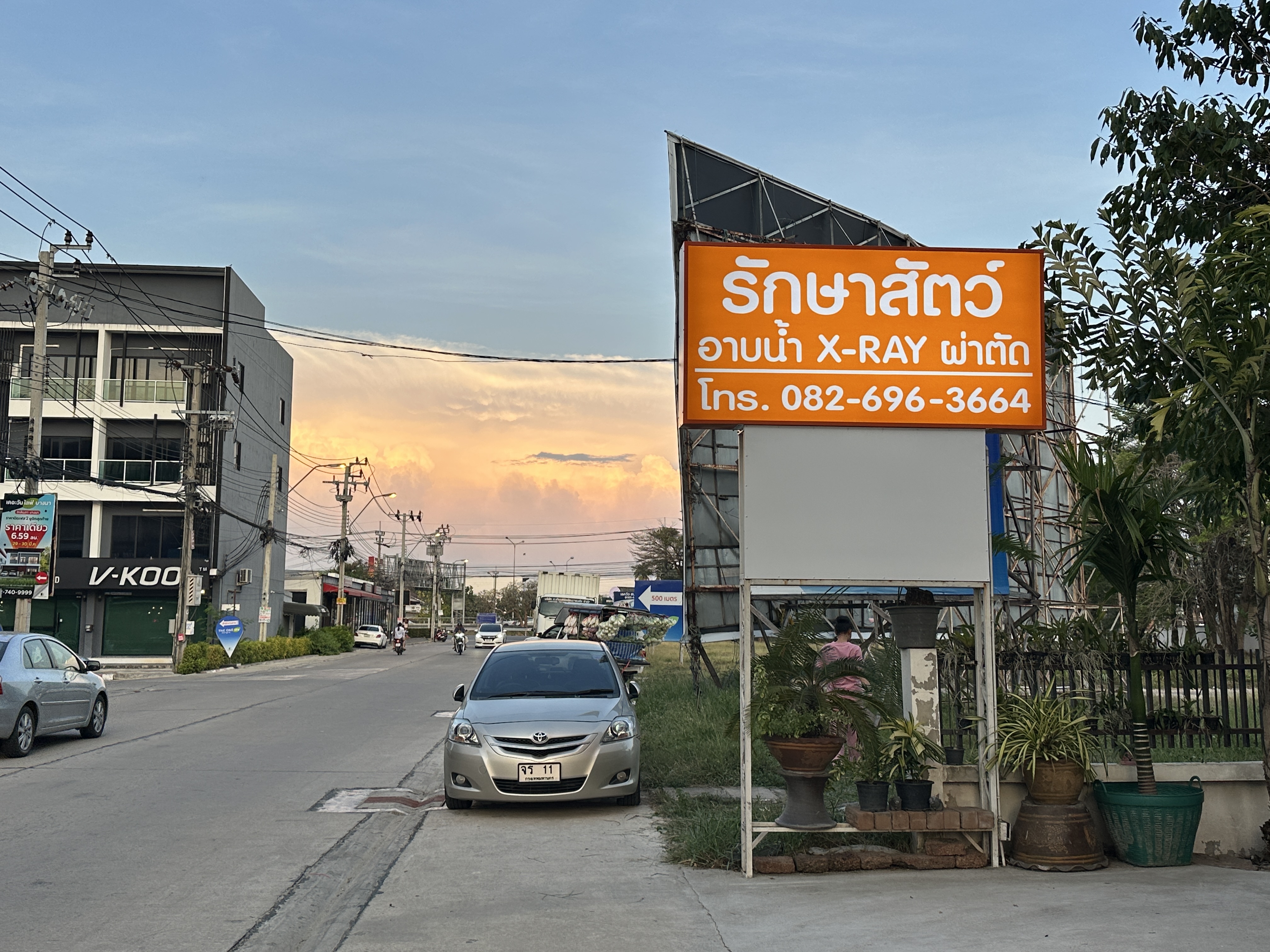 belovedpet clinic
