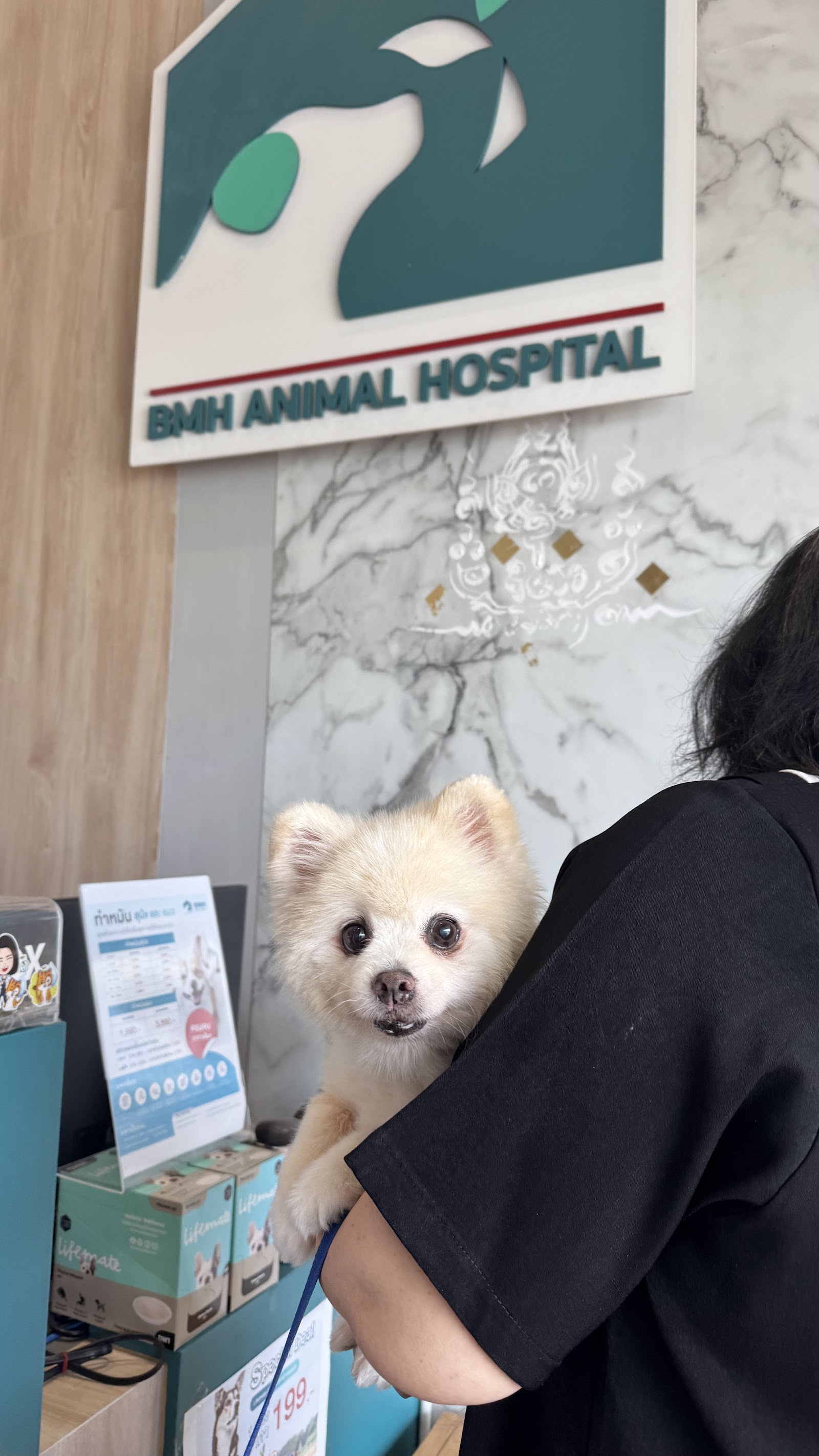 BMH Animal Hospital Ekachai24hr 24