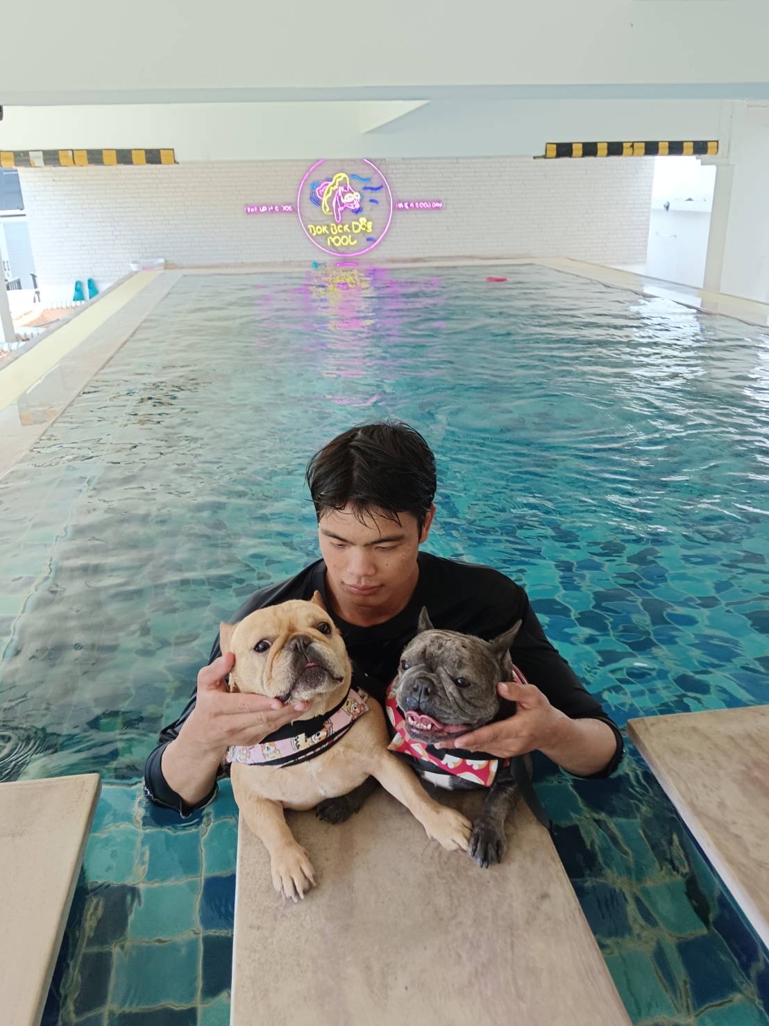 BokBokDog Club