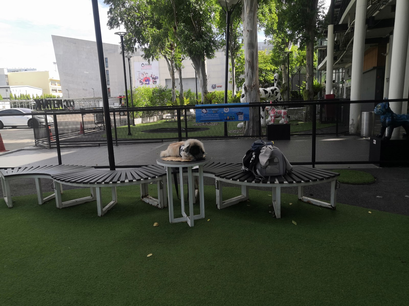 CDC PET PARK