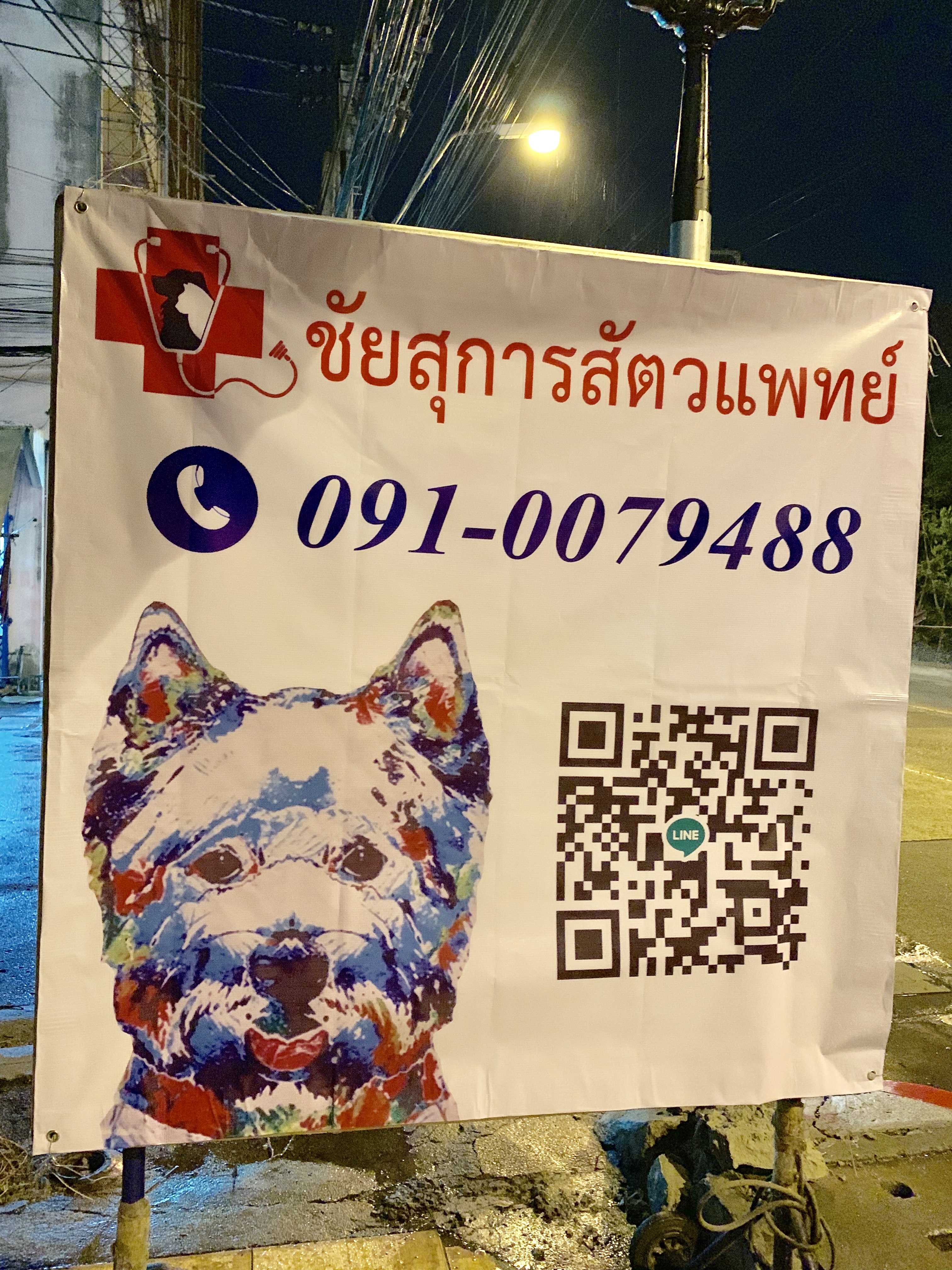 Chaisu Animal Clinic