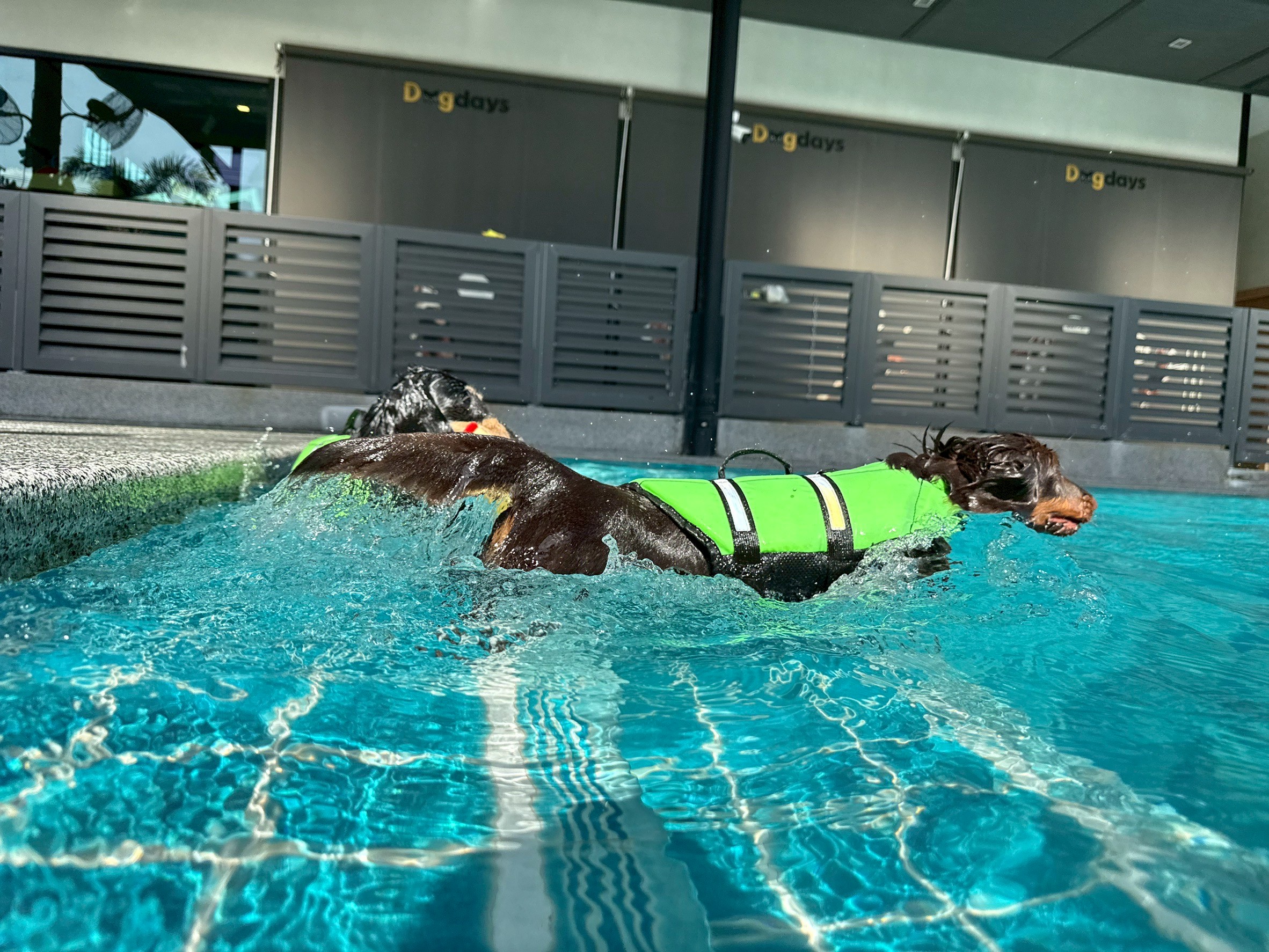 dogdaysbkk