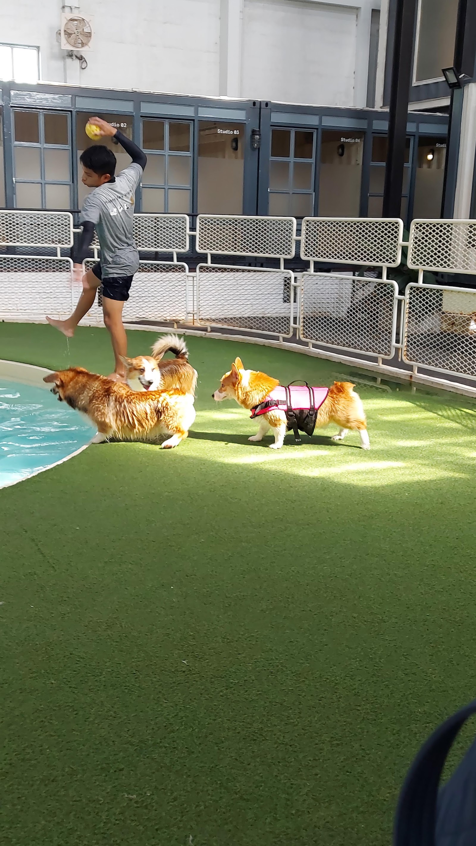 DOGS TALE Bangkok