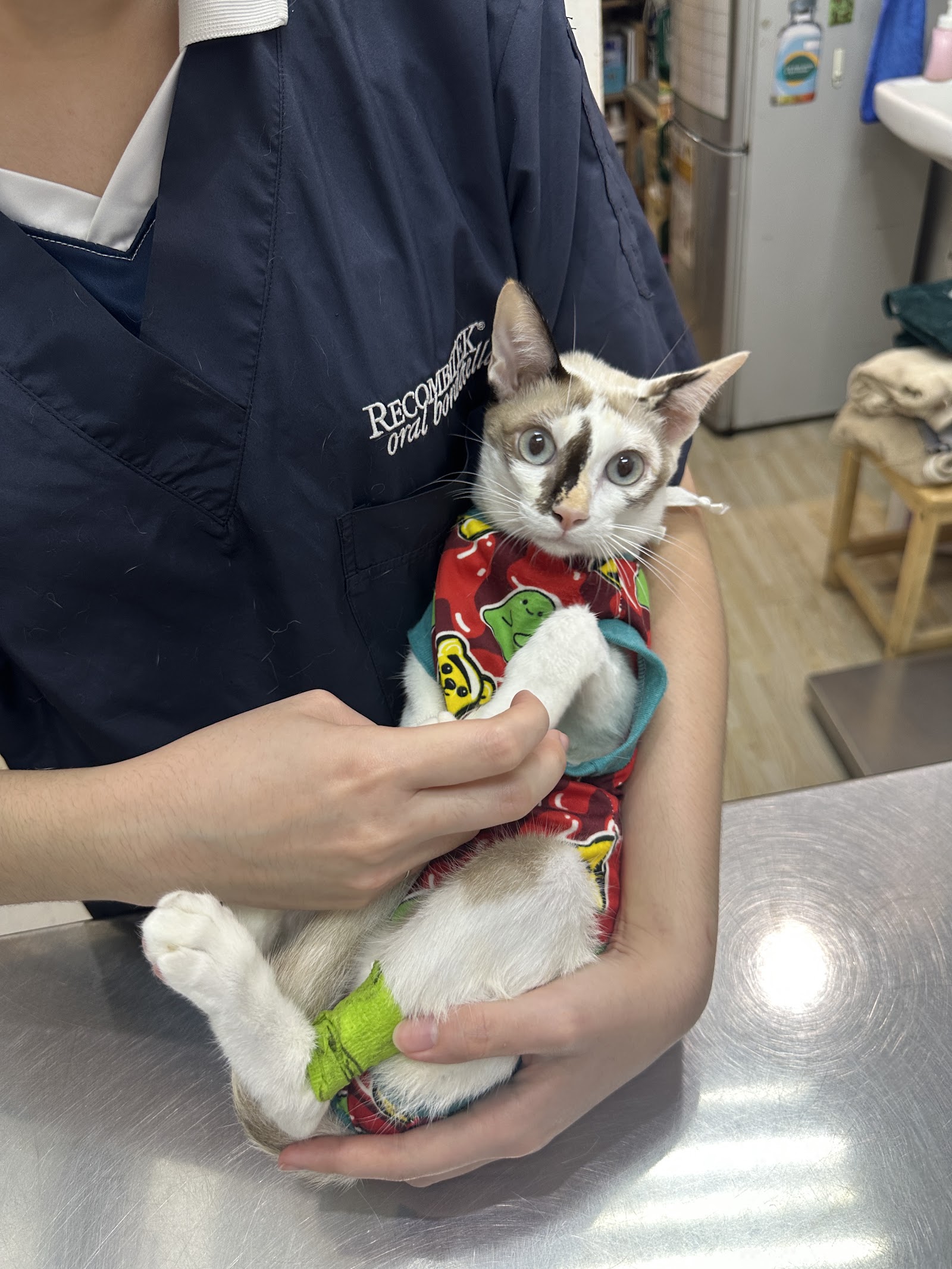 Dr. Chula's Small Animal Clinic