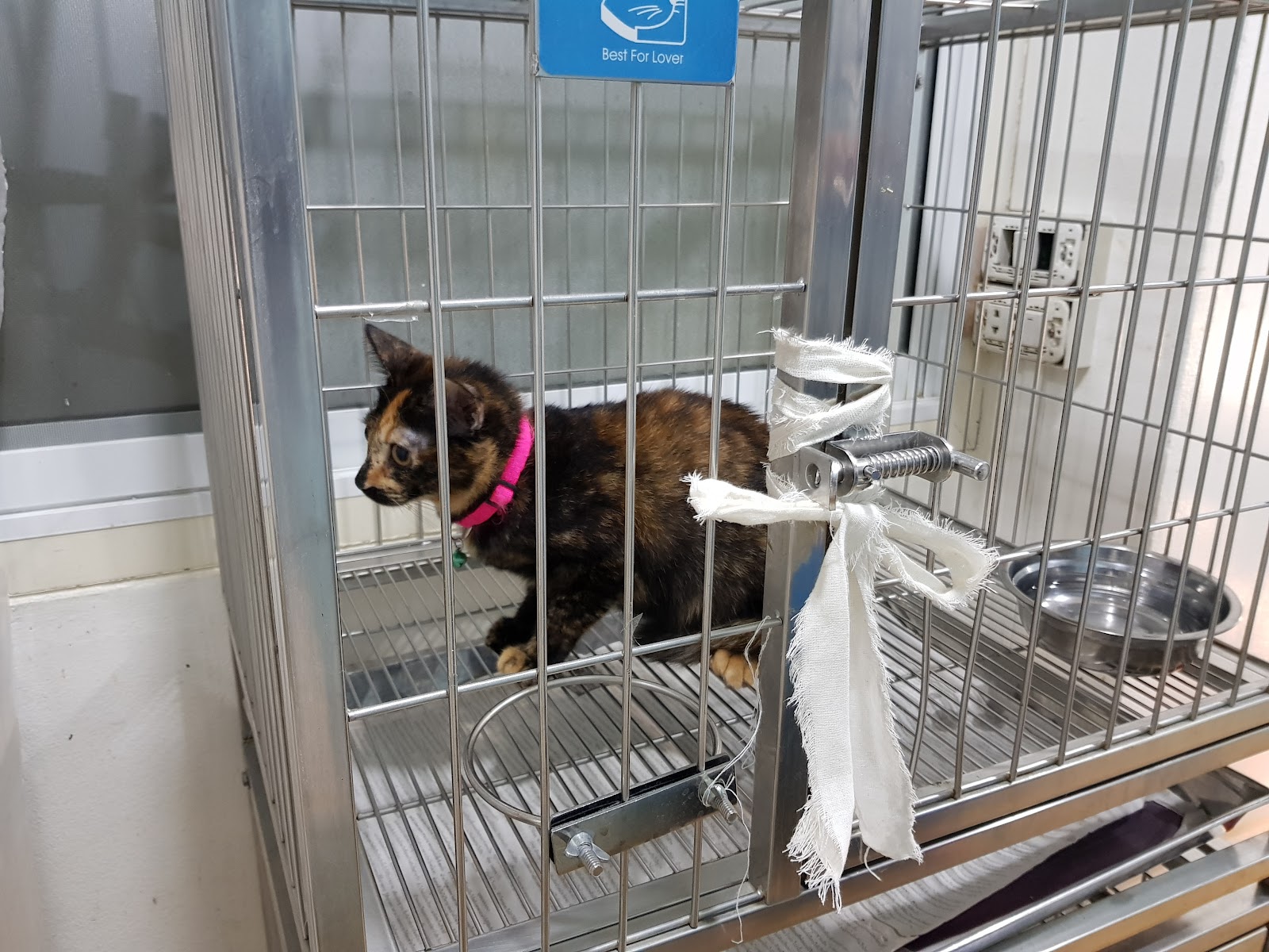 Ekachai Animal Hospital