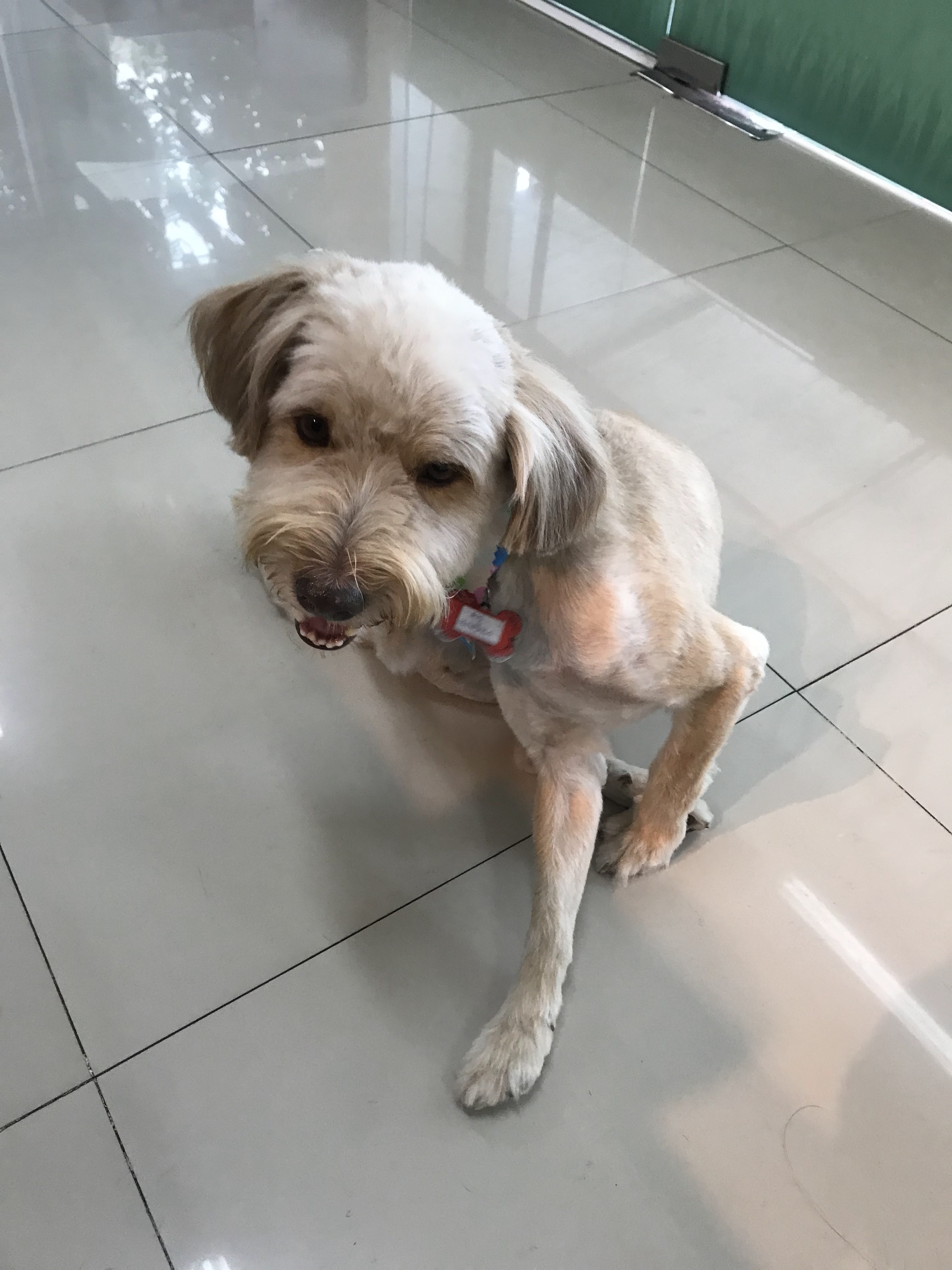 Family Care Pet Hospital