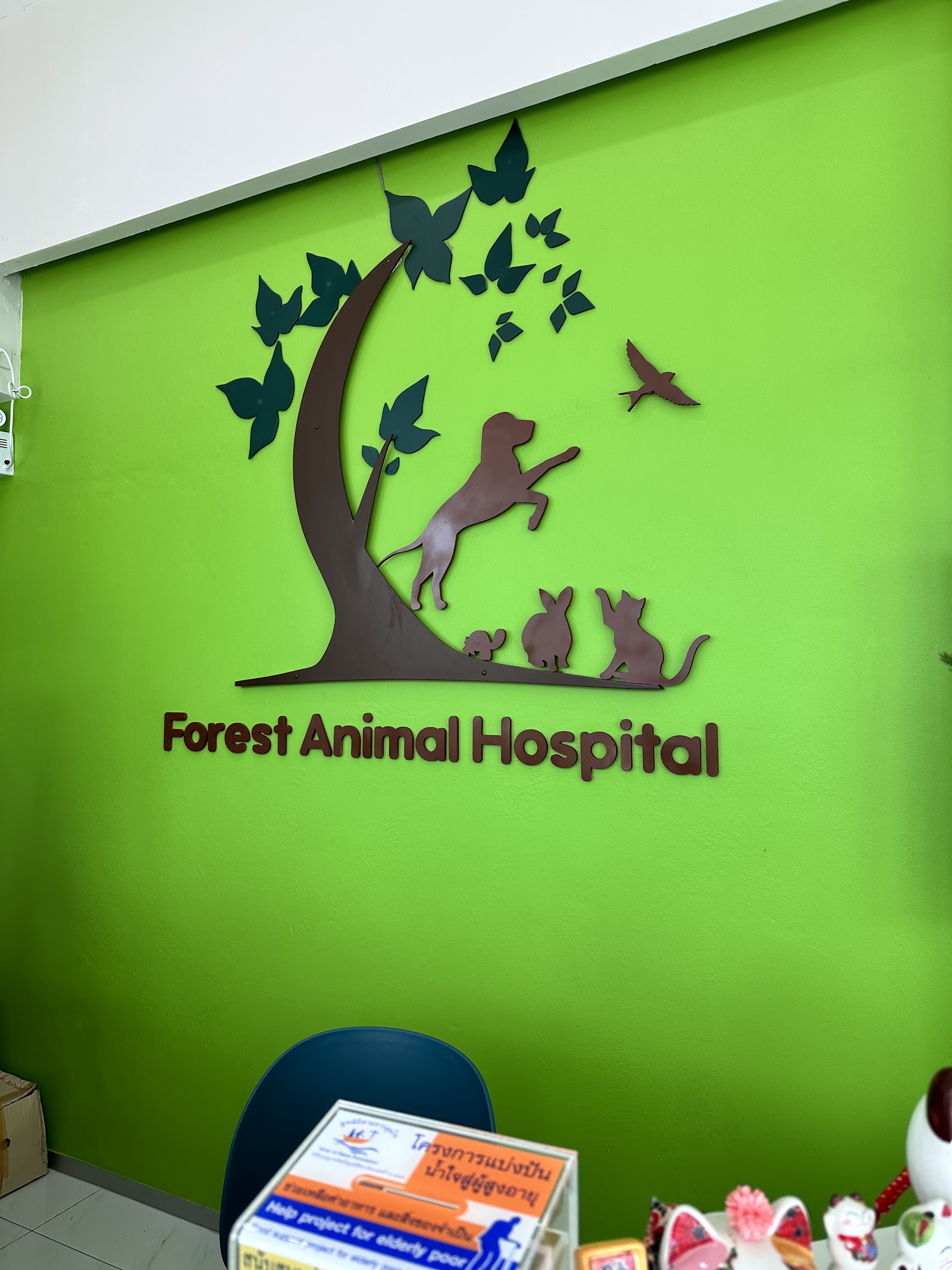 Forest animal hospital