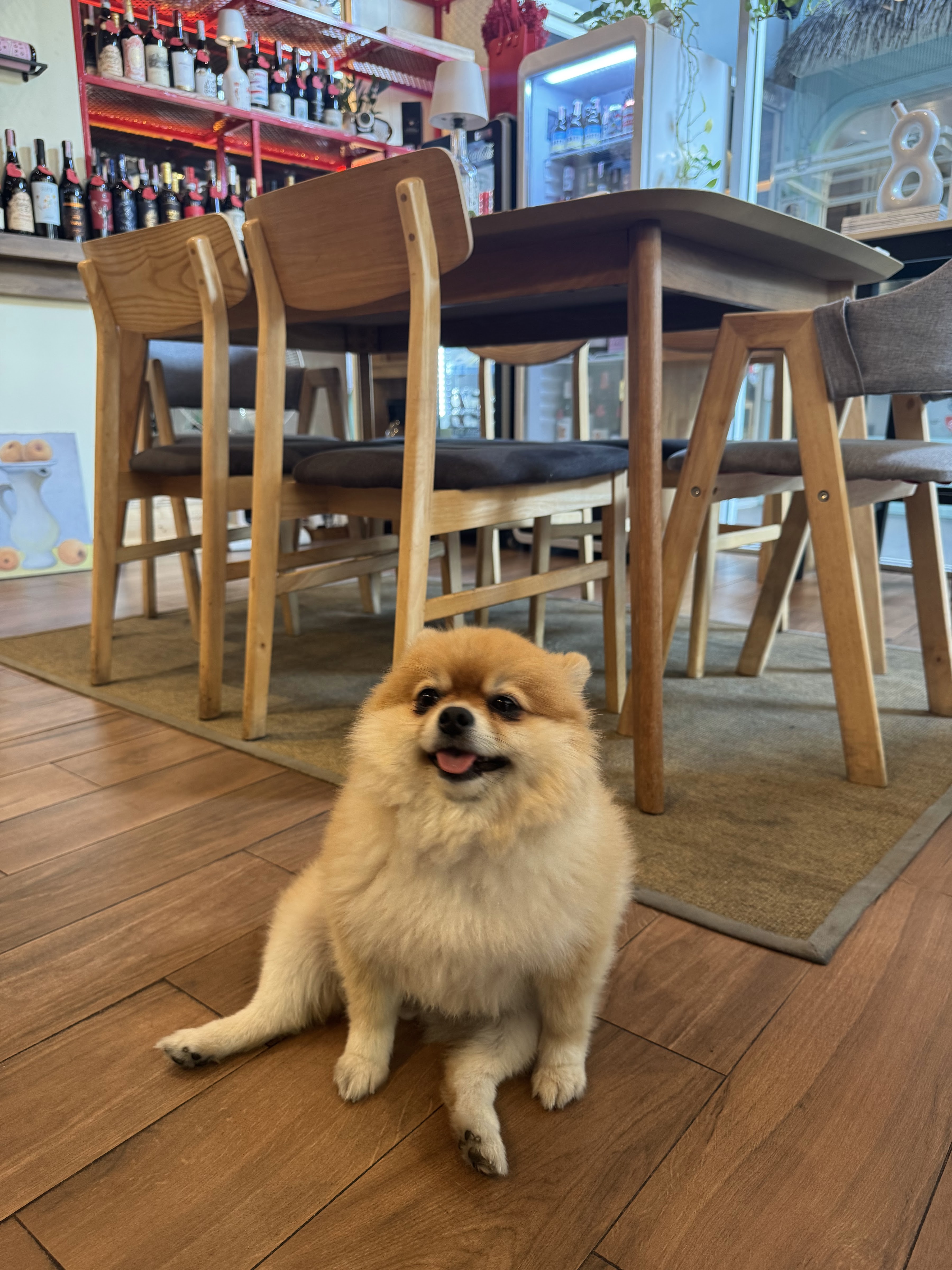 Fuzzypuppy Deli & Wine - Habito Mall