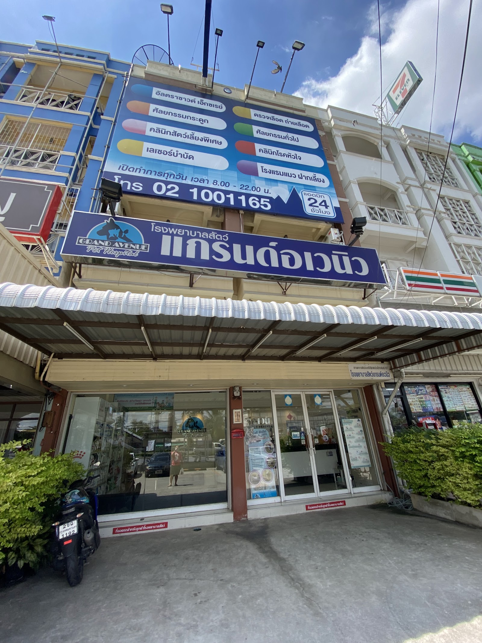 Grand Avenue Pet Hospital