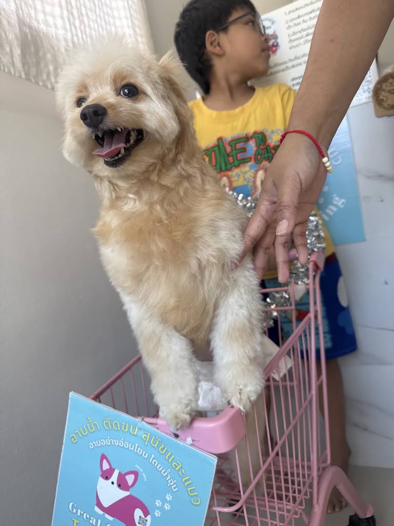 Great Grooming Ekachai36