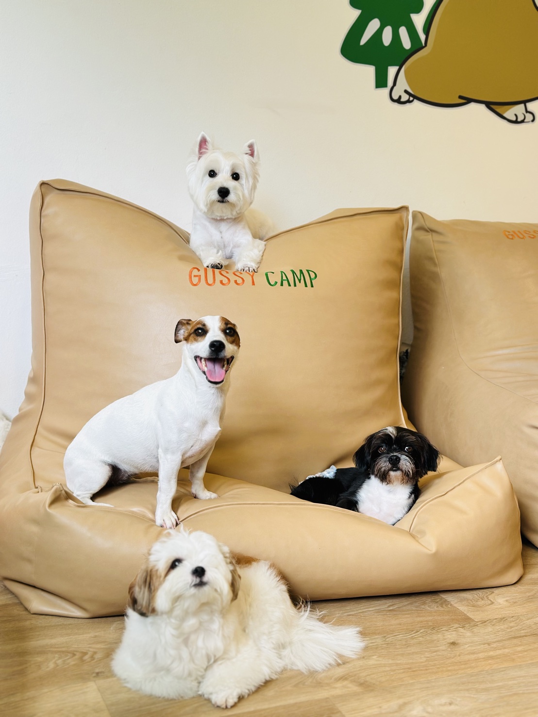 GUSSY CAMP