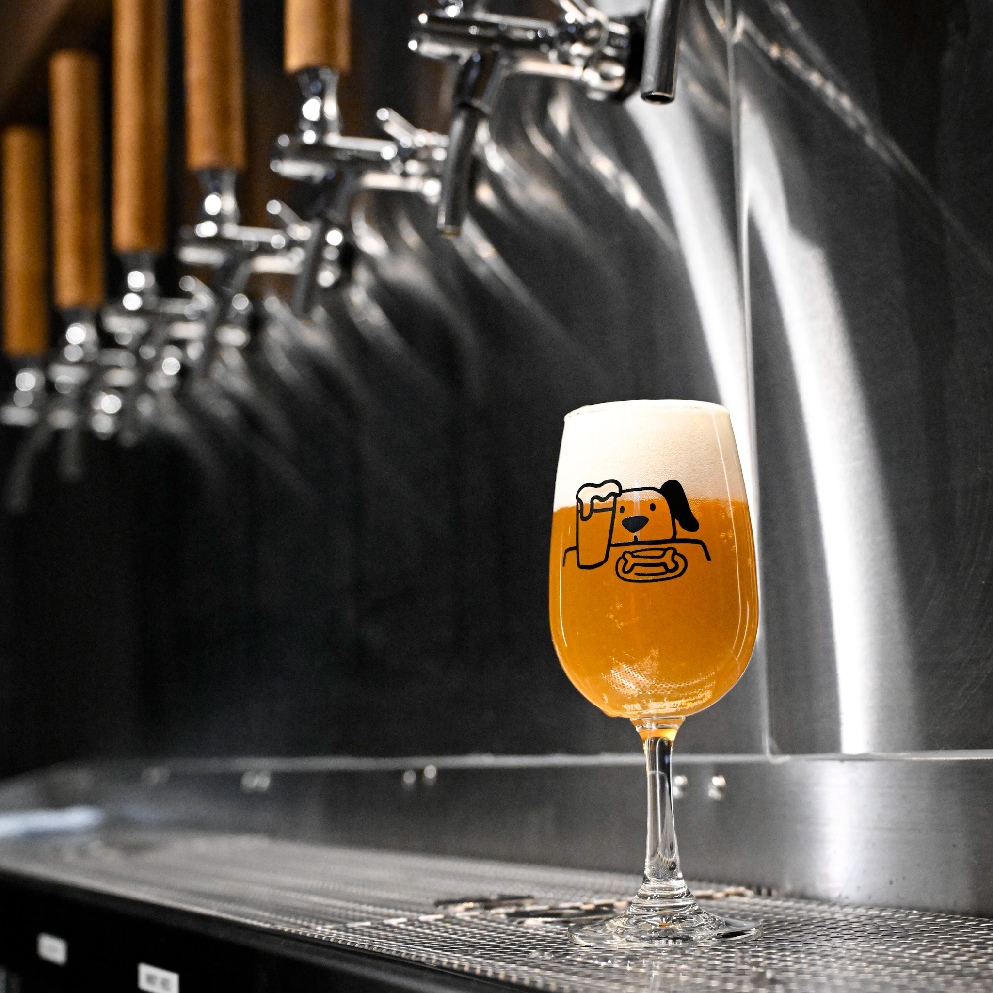 Hazy Hound : Craft Beers & Bites
