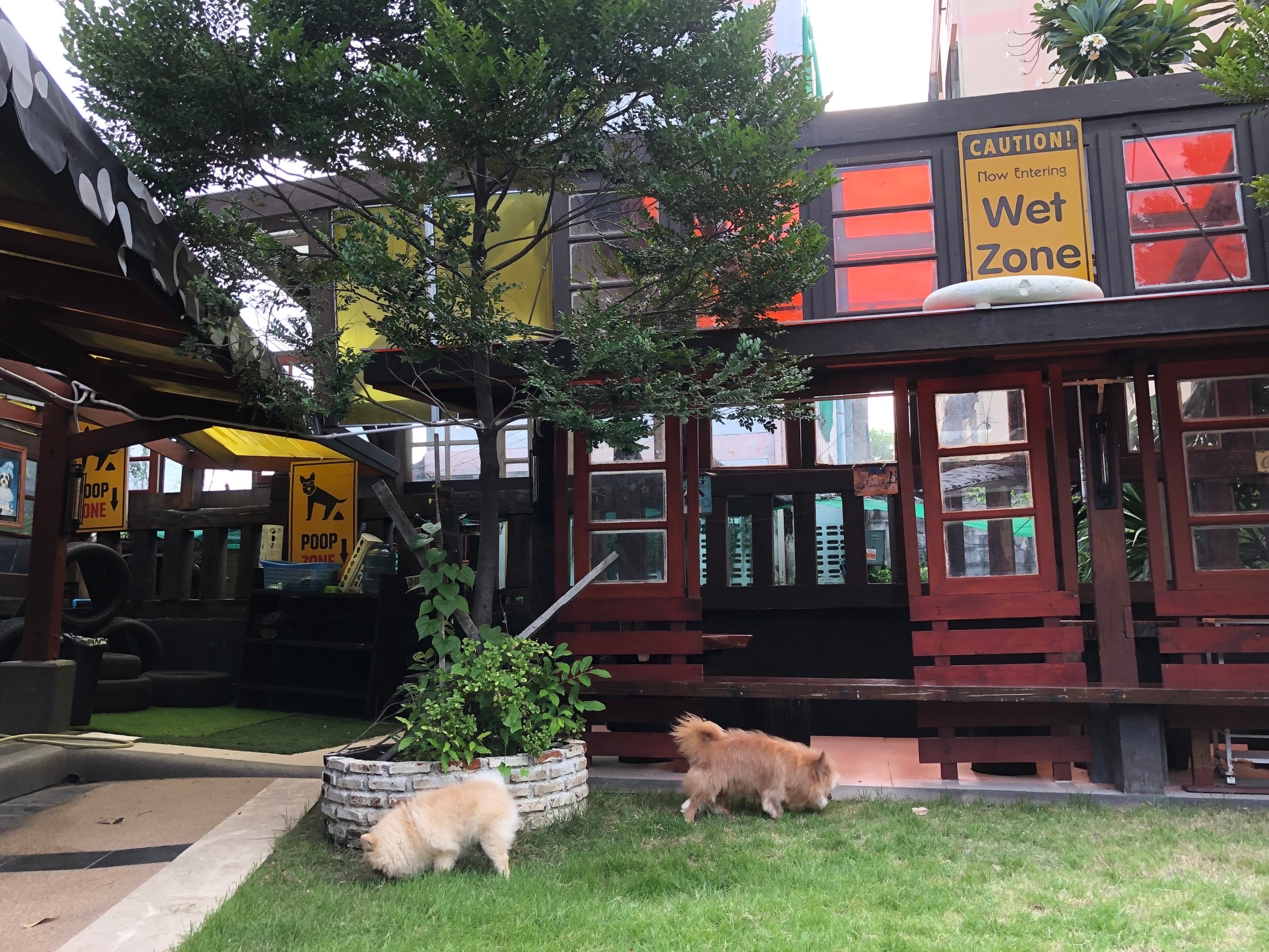 Heart Dog Cafe