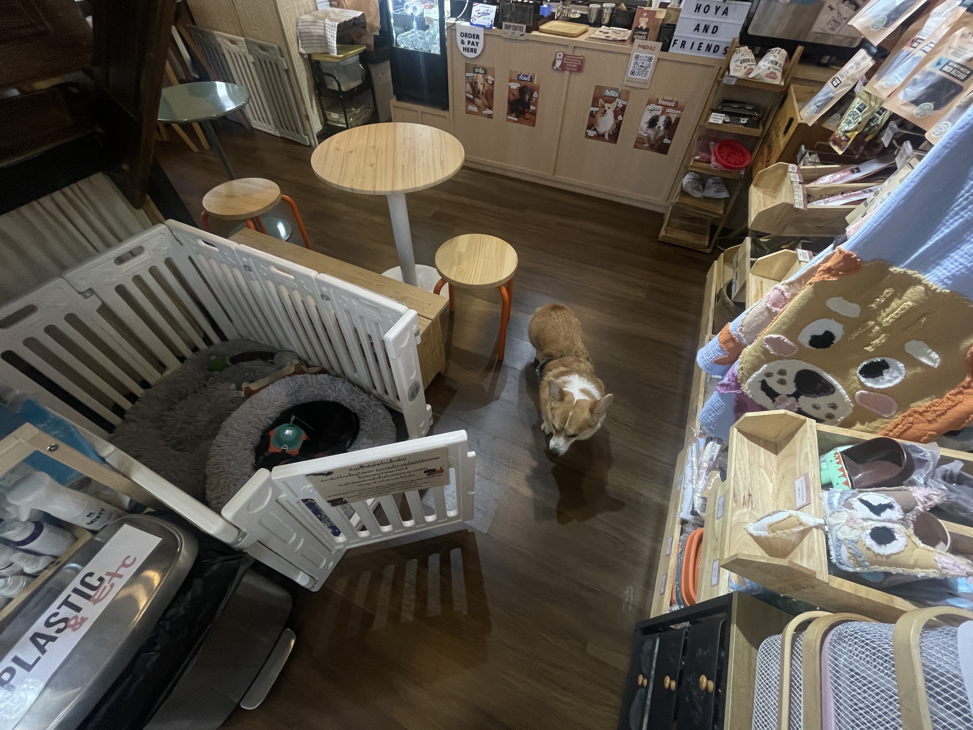 Hoya & friends Café