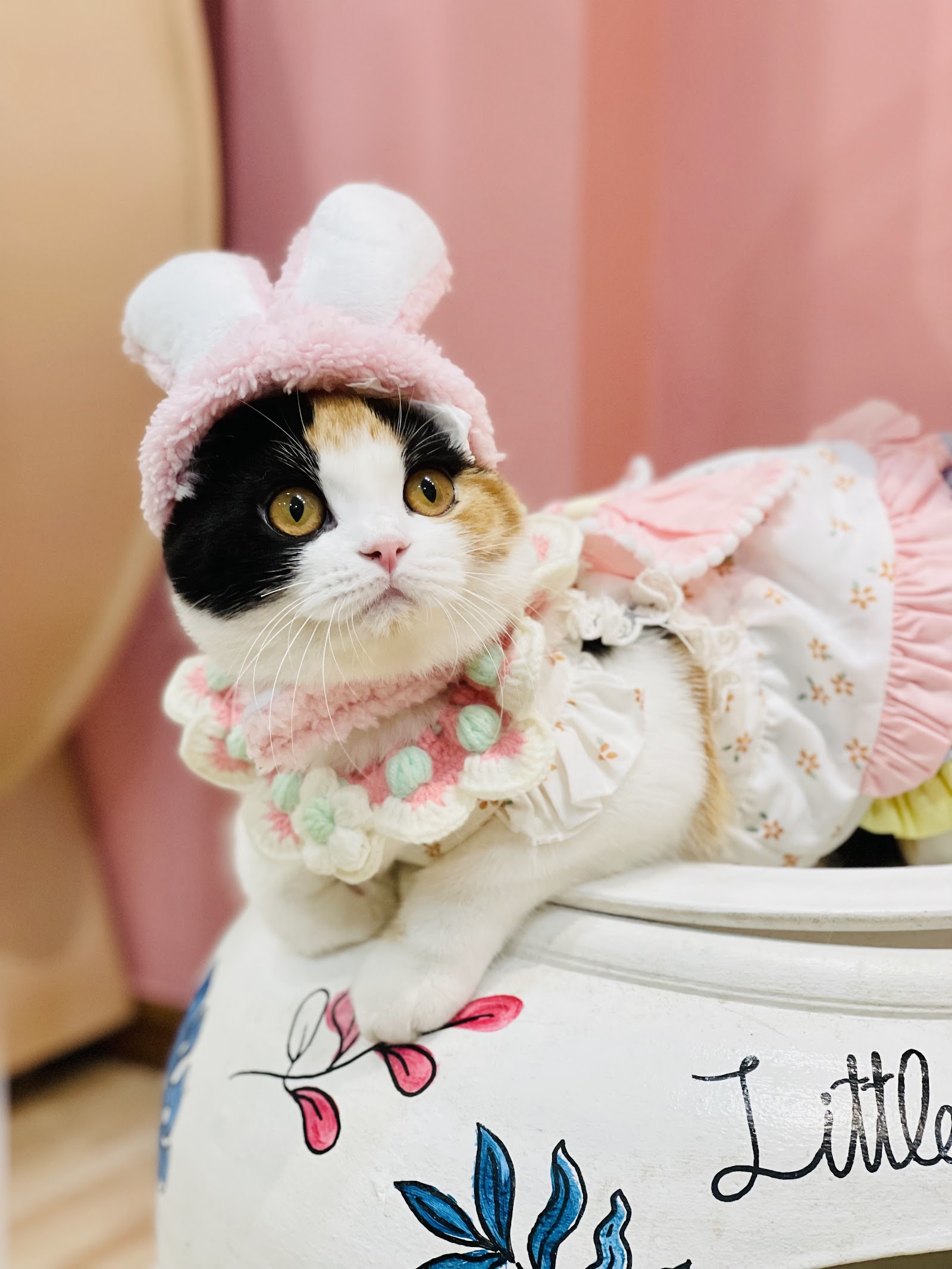 Little Smile Cattery