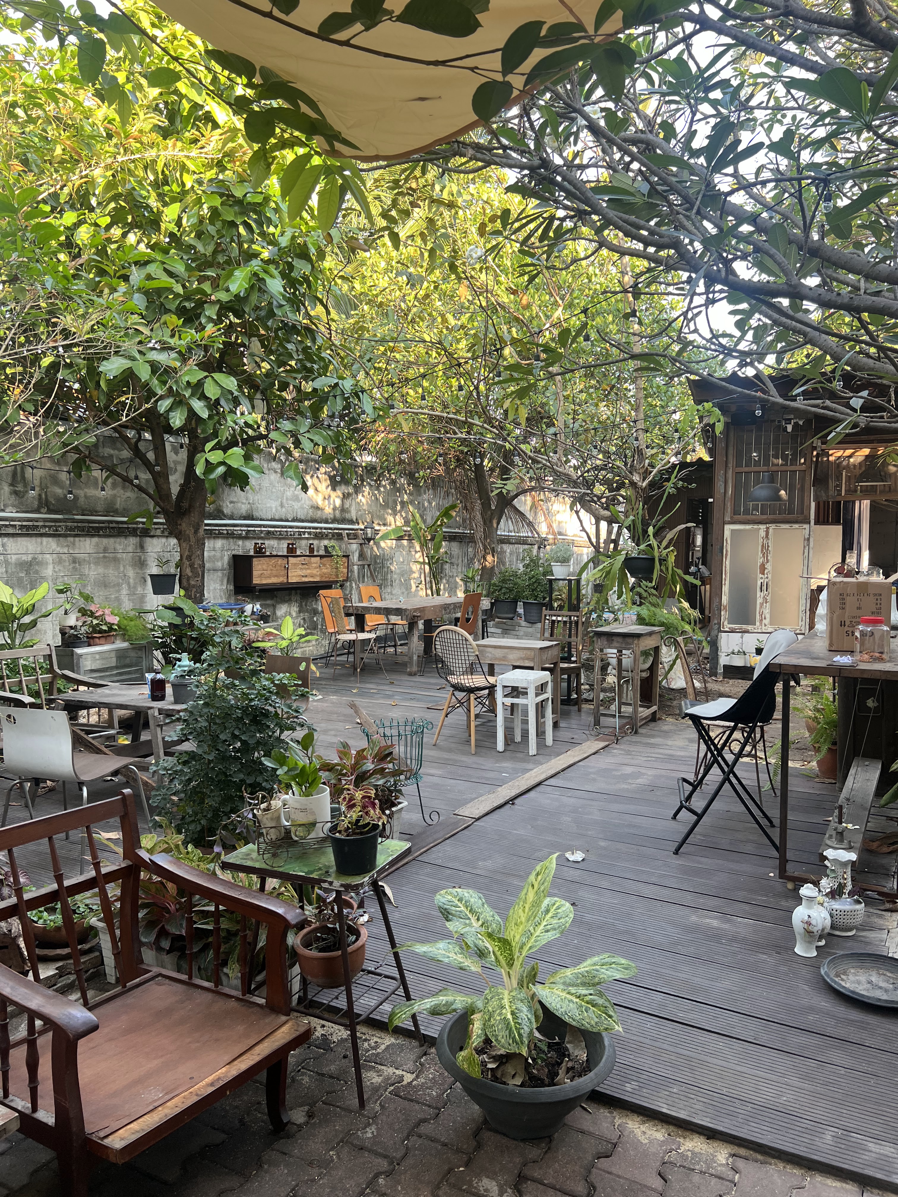 LOCO BKK