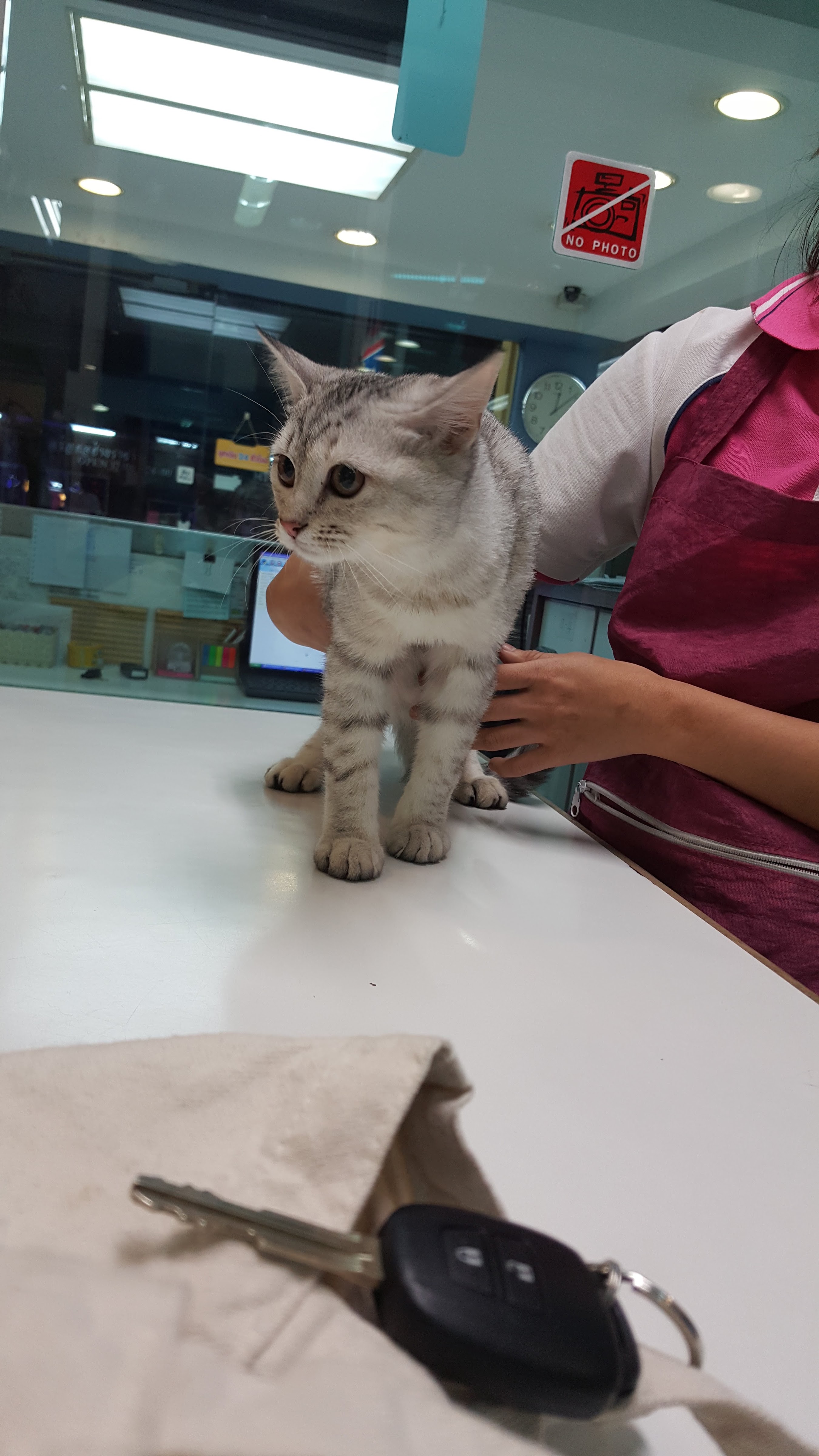 Mahasin Vet Hospital