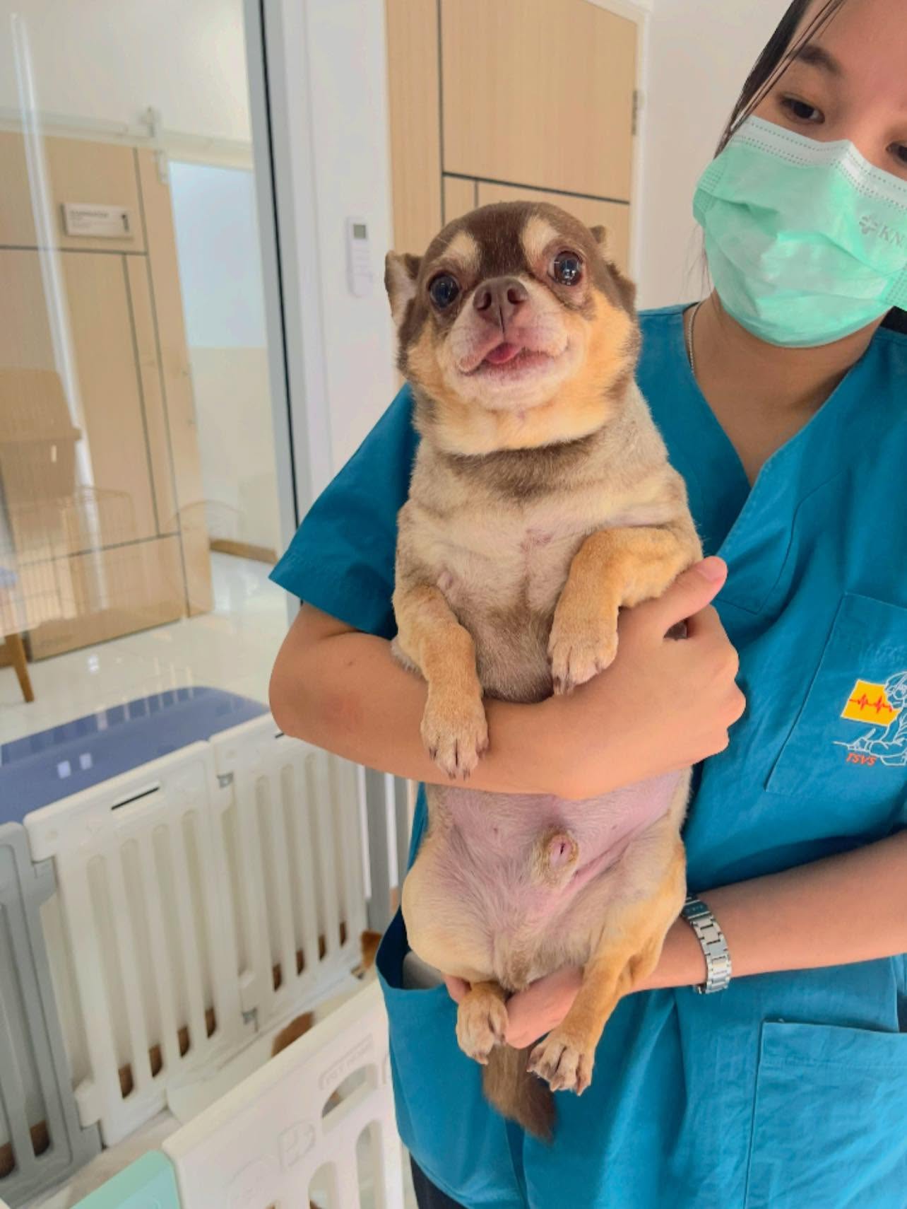 Maiyalap Animal Hospital