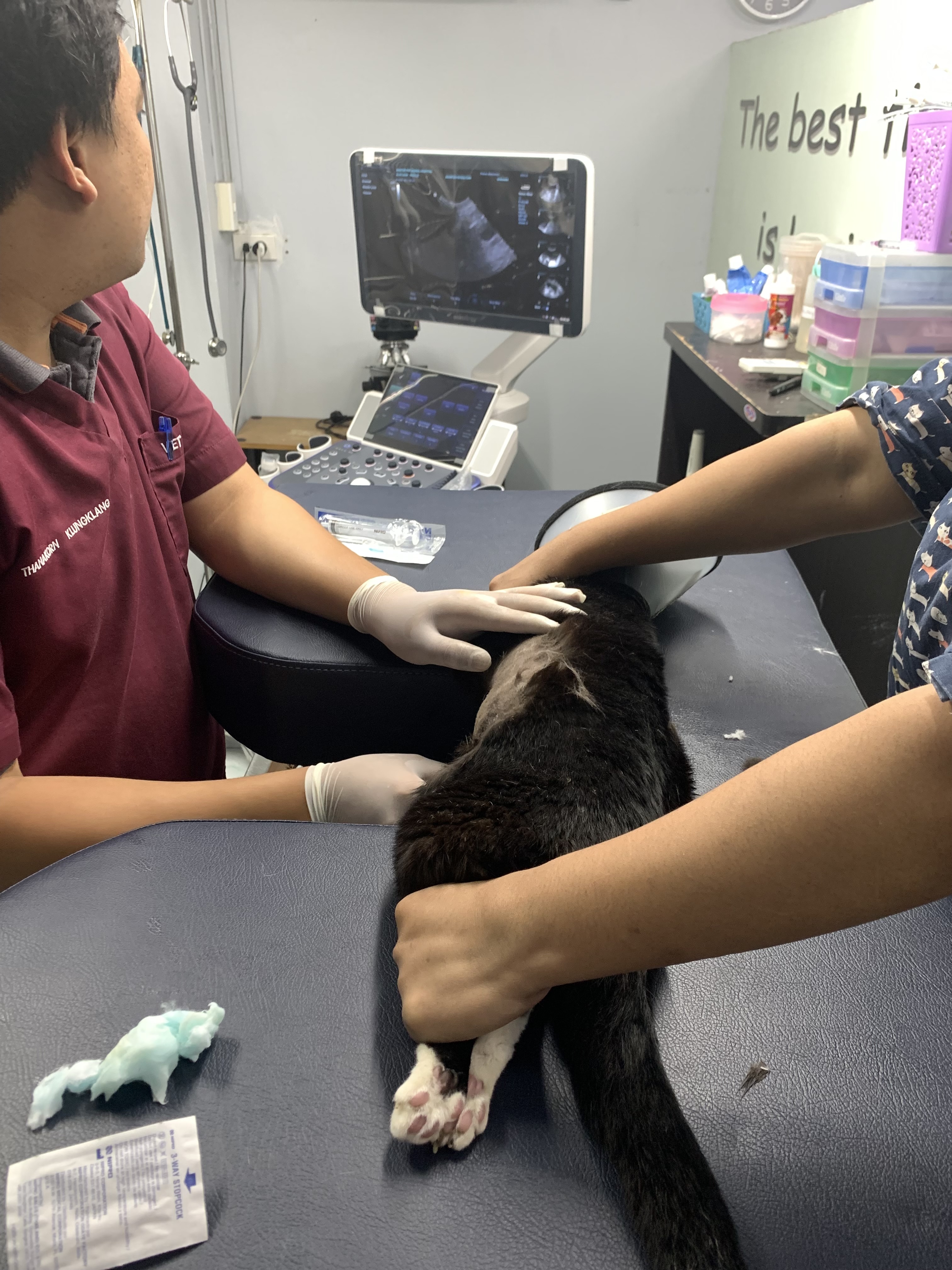 Masterpet Rattanakosin Animal Hospital