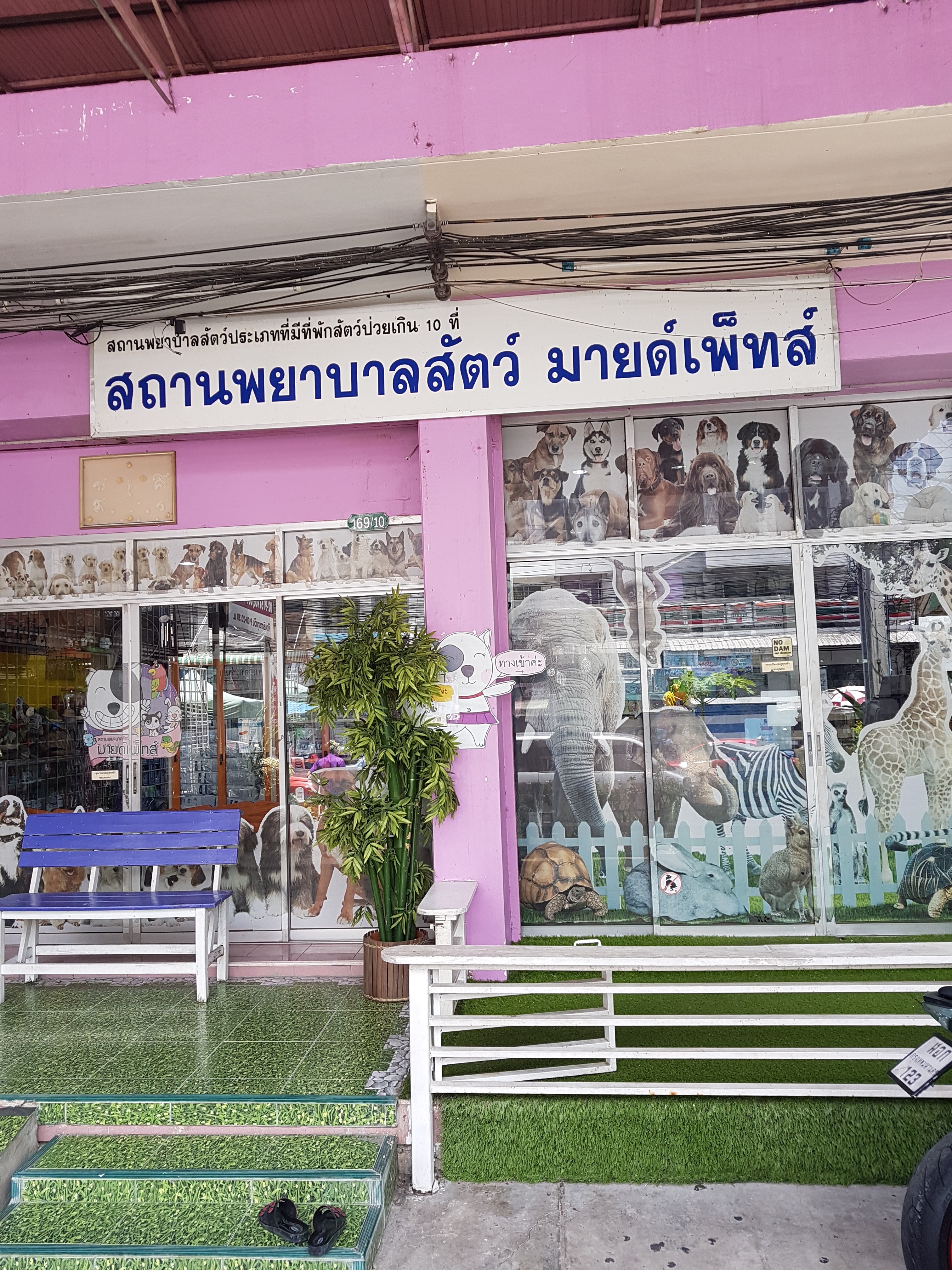 Mindpets animal hospital