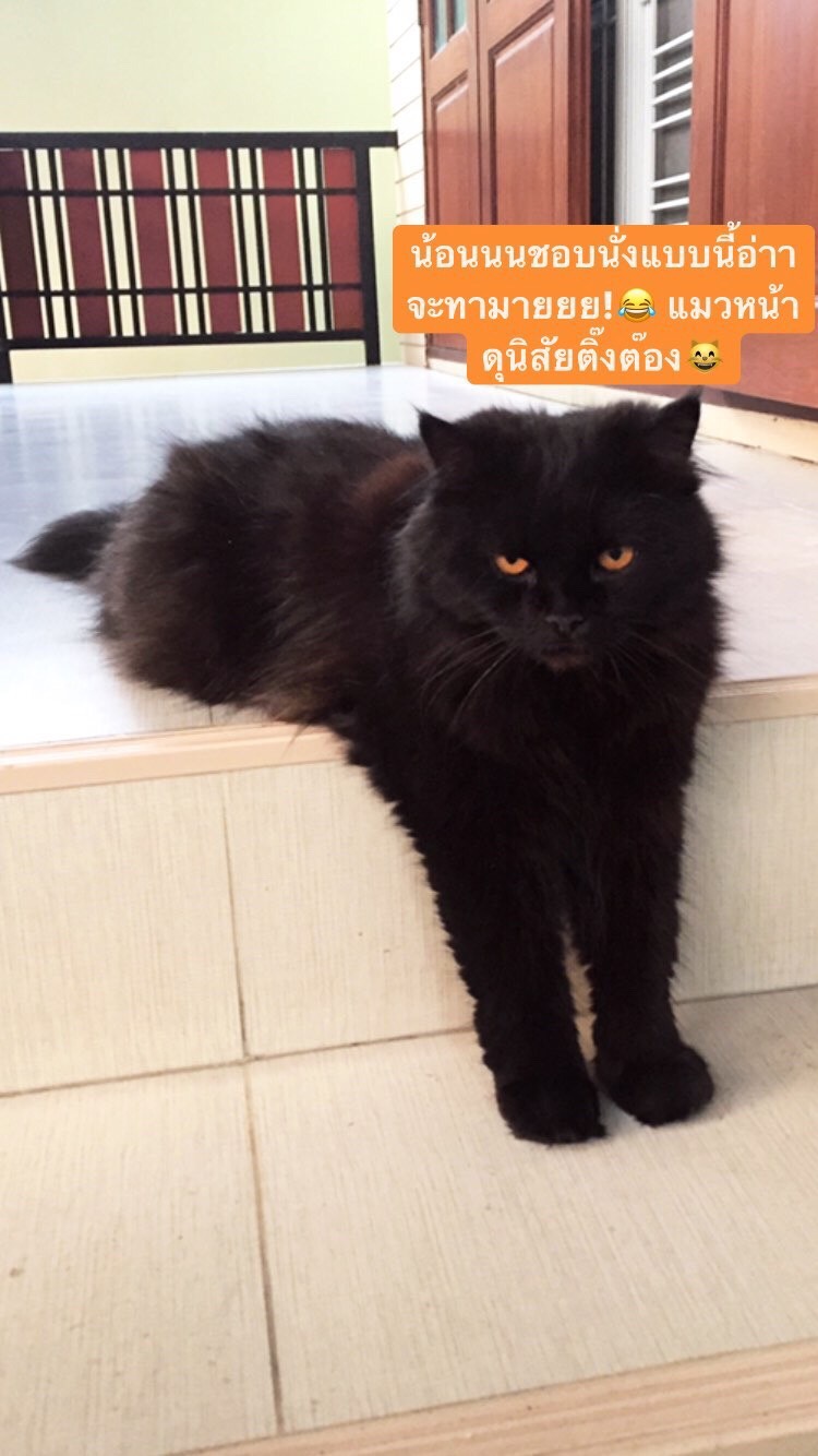 Navamin Animal Hospital