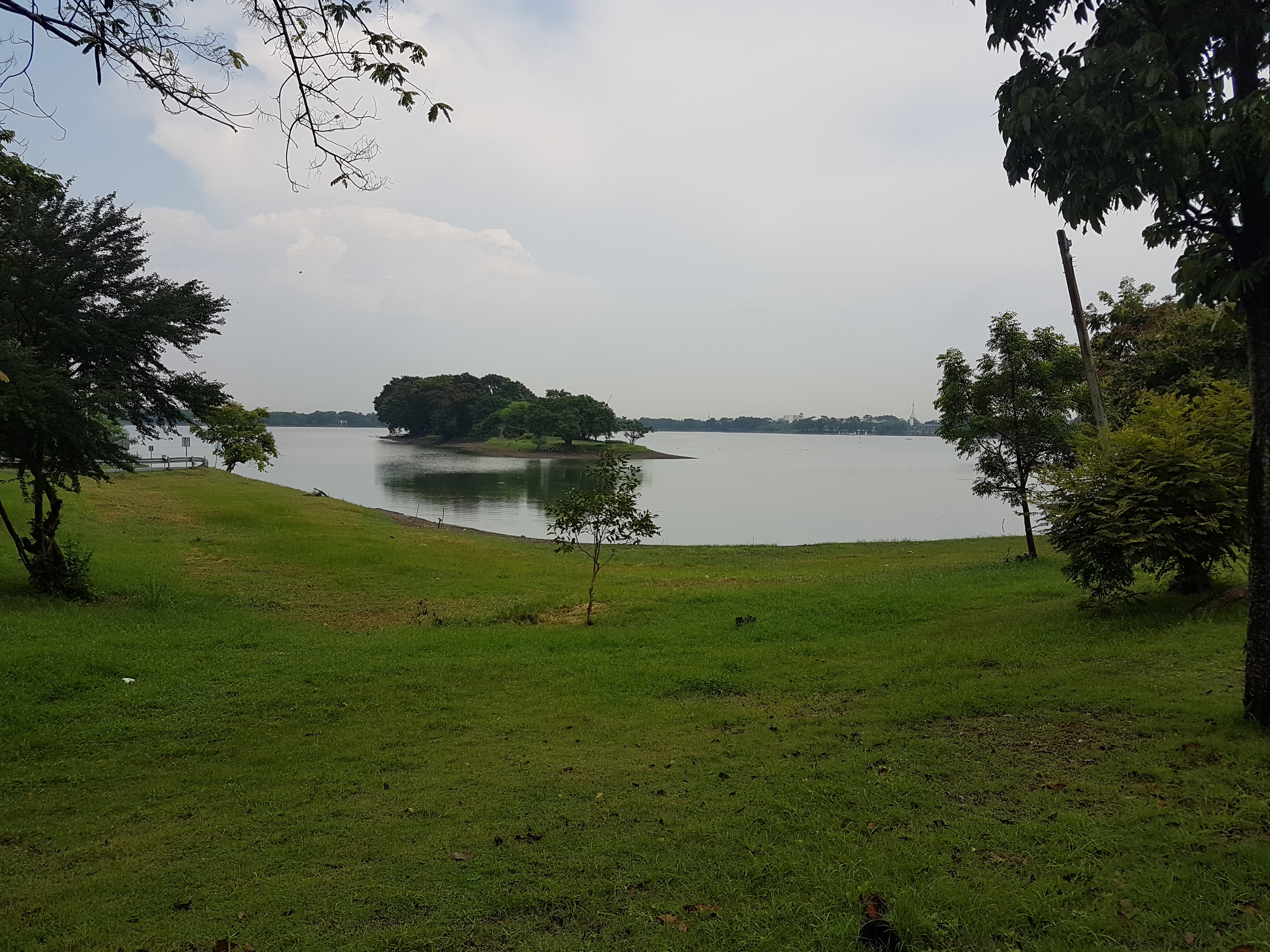 Morning Dog Walk at Nong Bon Lake