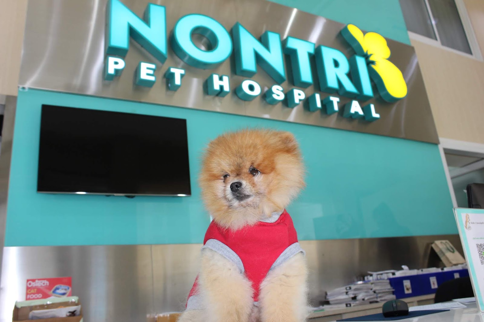 Nontri Pet Hospital