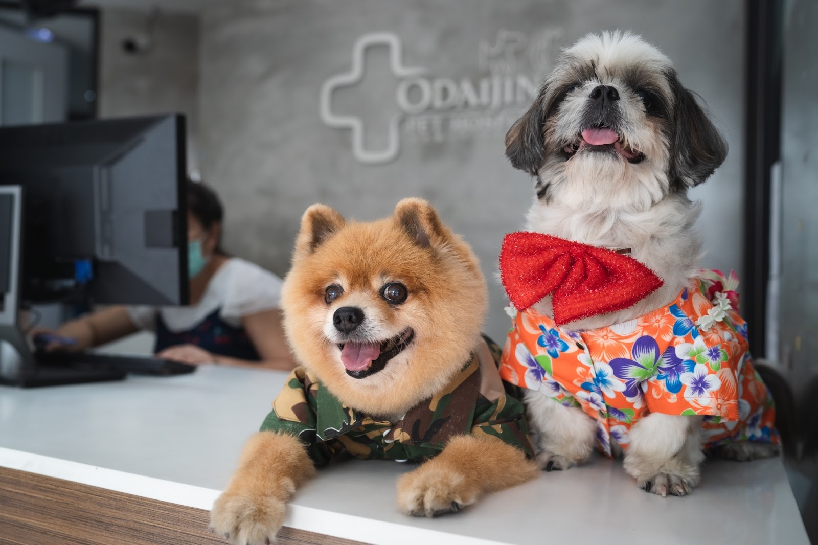 Odaijini Pet Hospital Ramintra Branch) 24