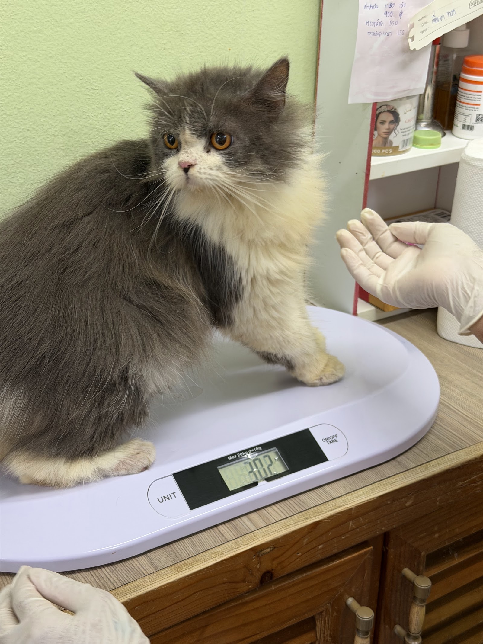 Pacharapun Pet Clinic