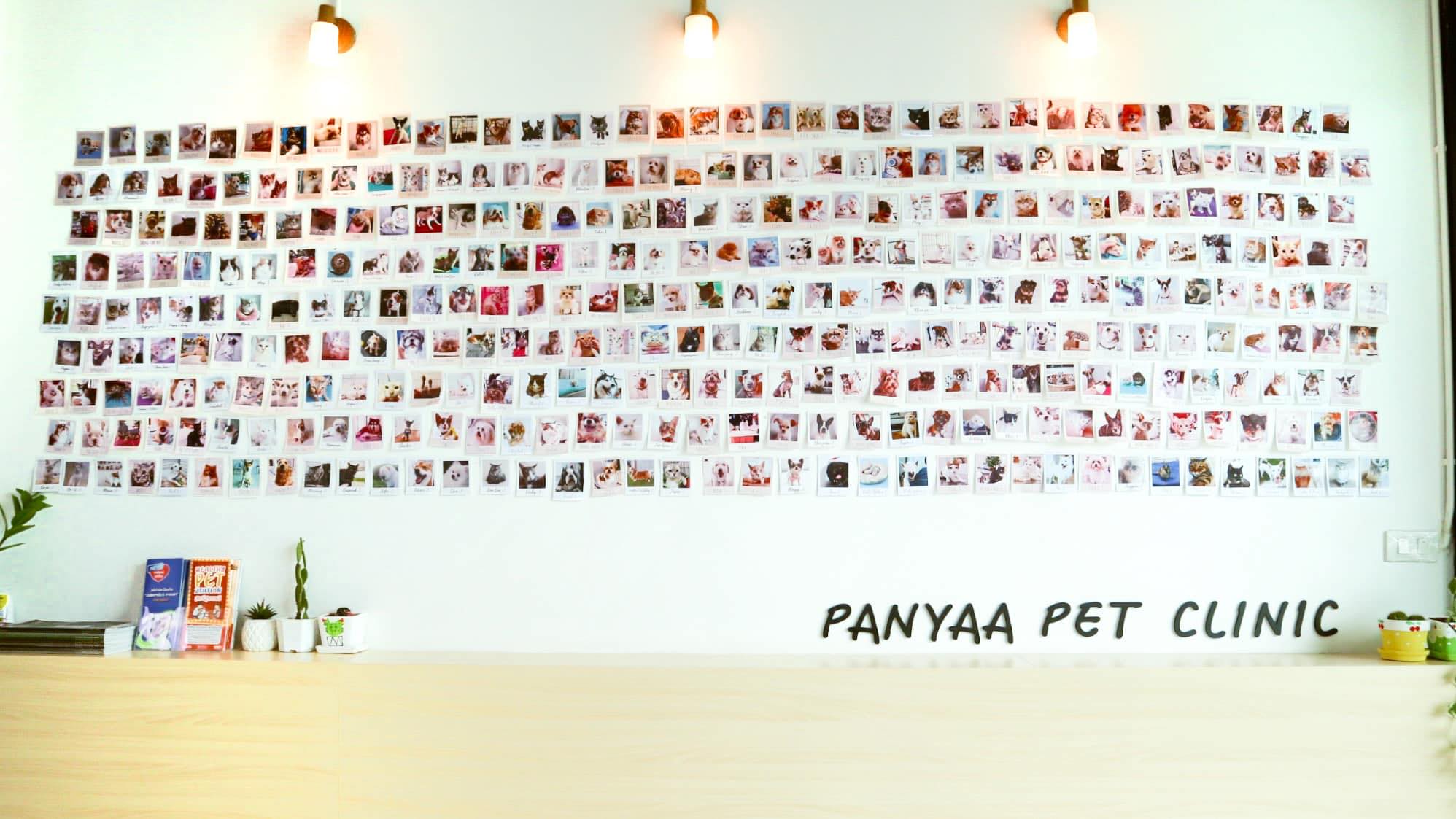 Panyaa Pet Clinic