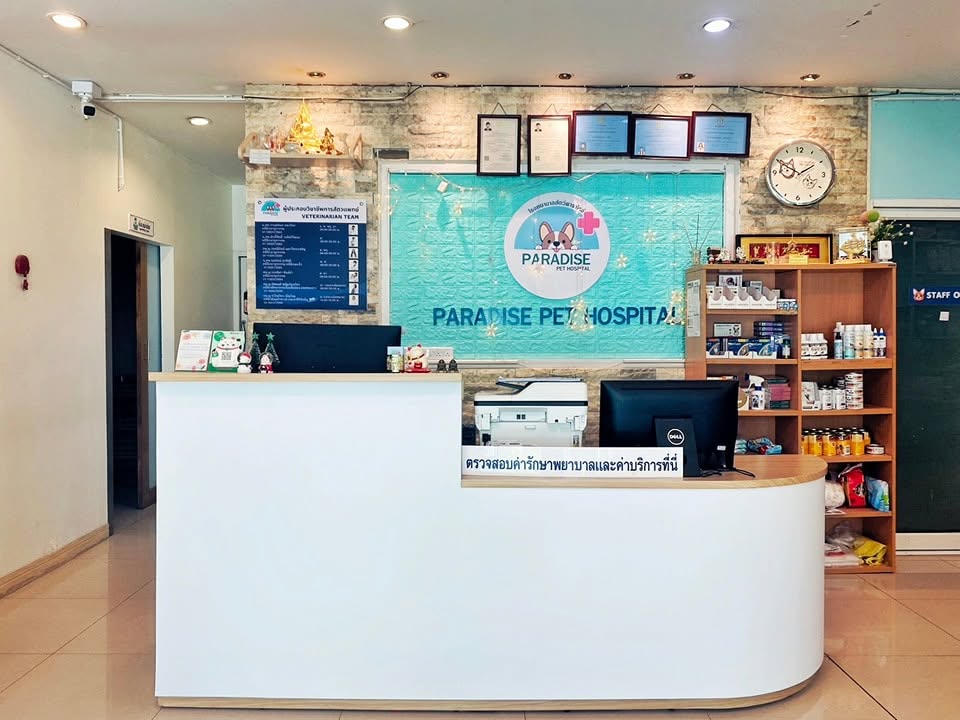 Paradise Pet Hospital