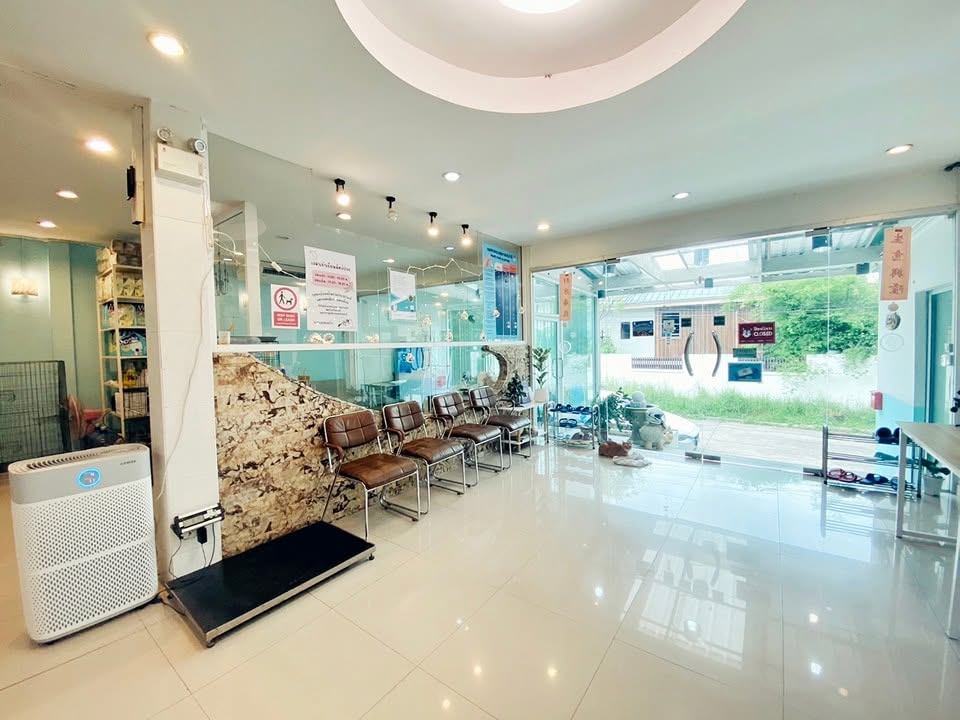 Paradise Pet Hospital