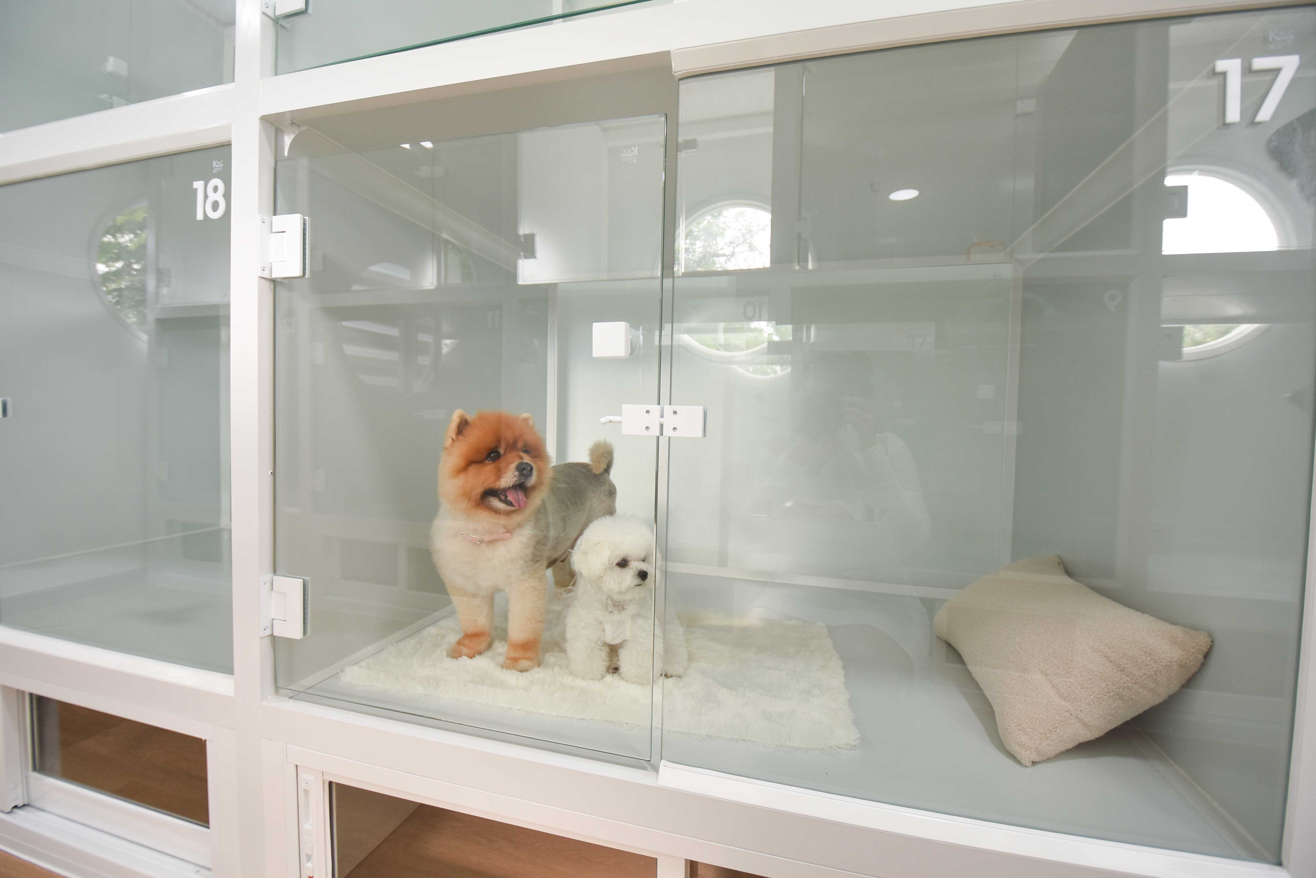 Pawsome Space Bangkok