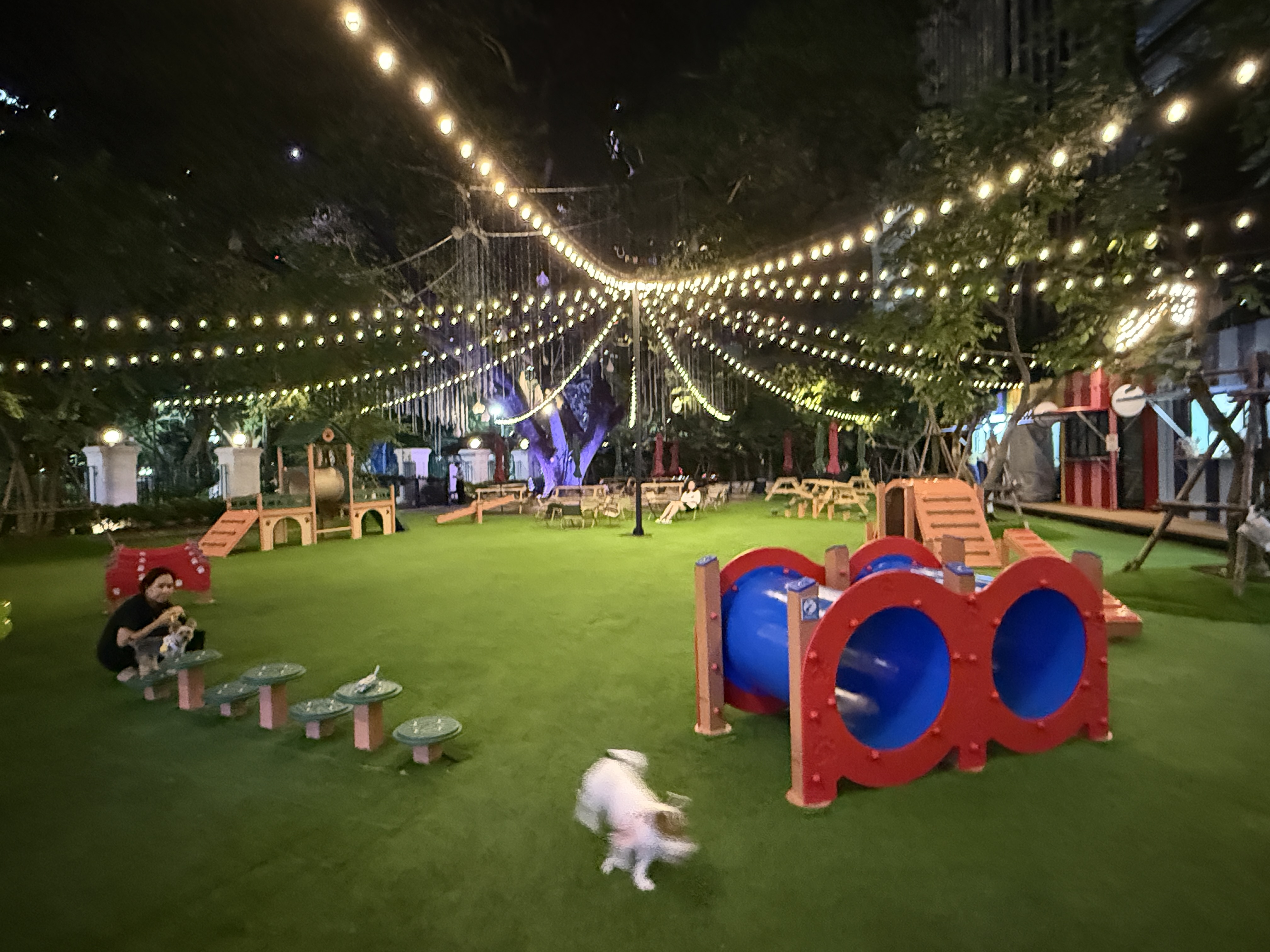 PAWYARD at EM DISTRICT