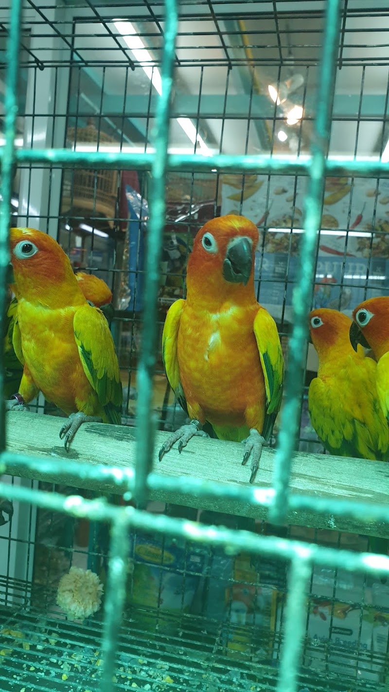 Pet Zone