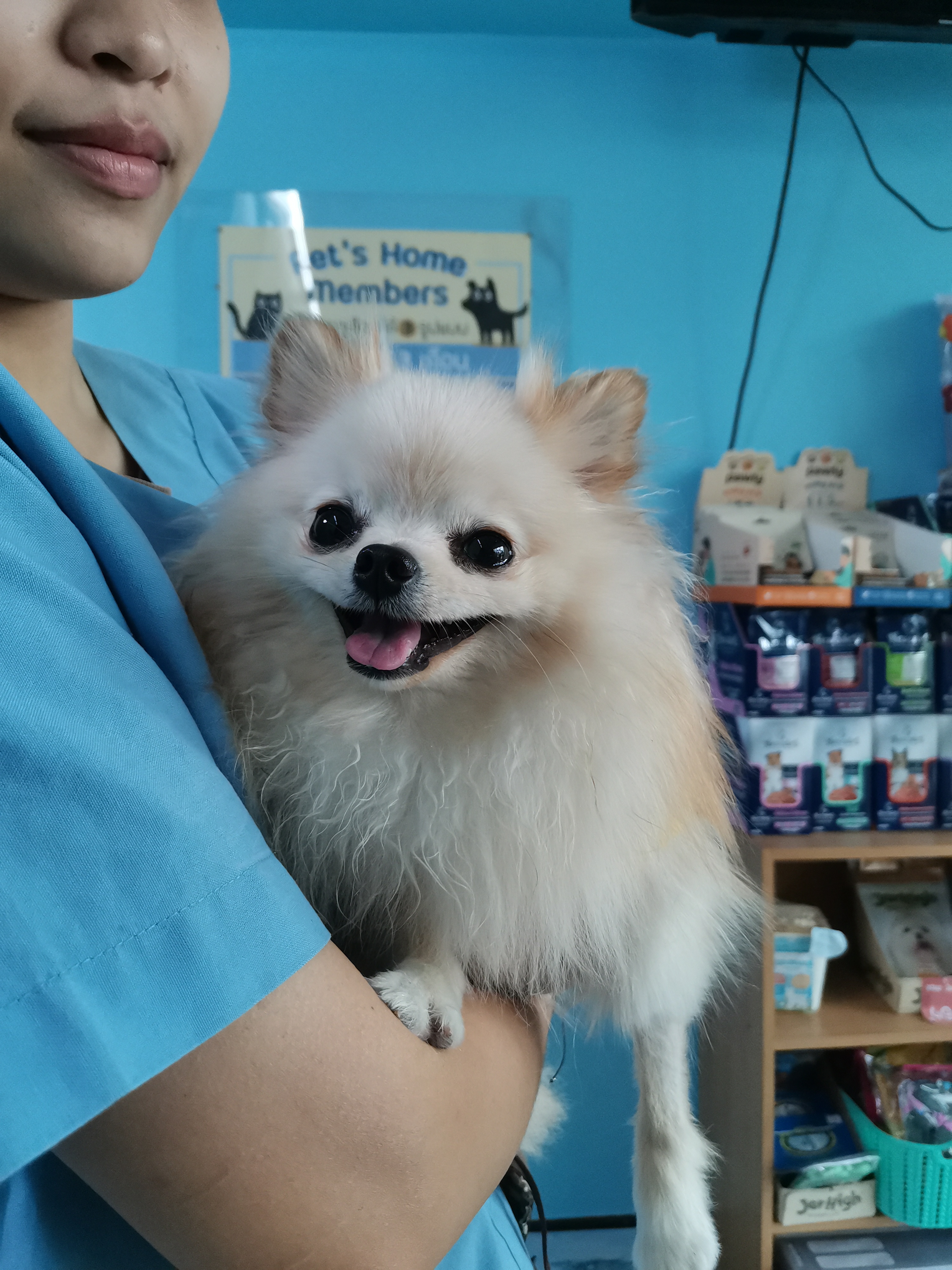 Pet'sHome Pet Hospital