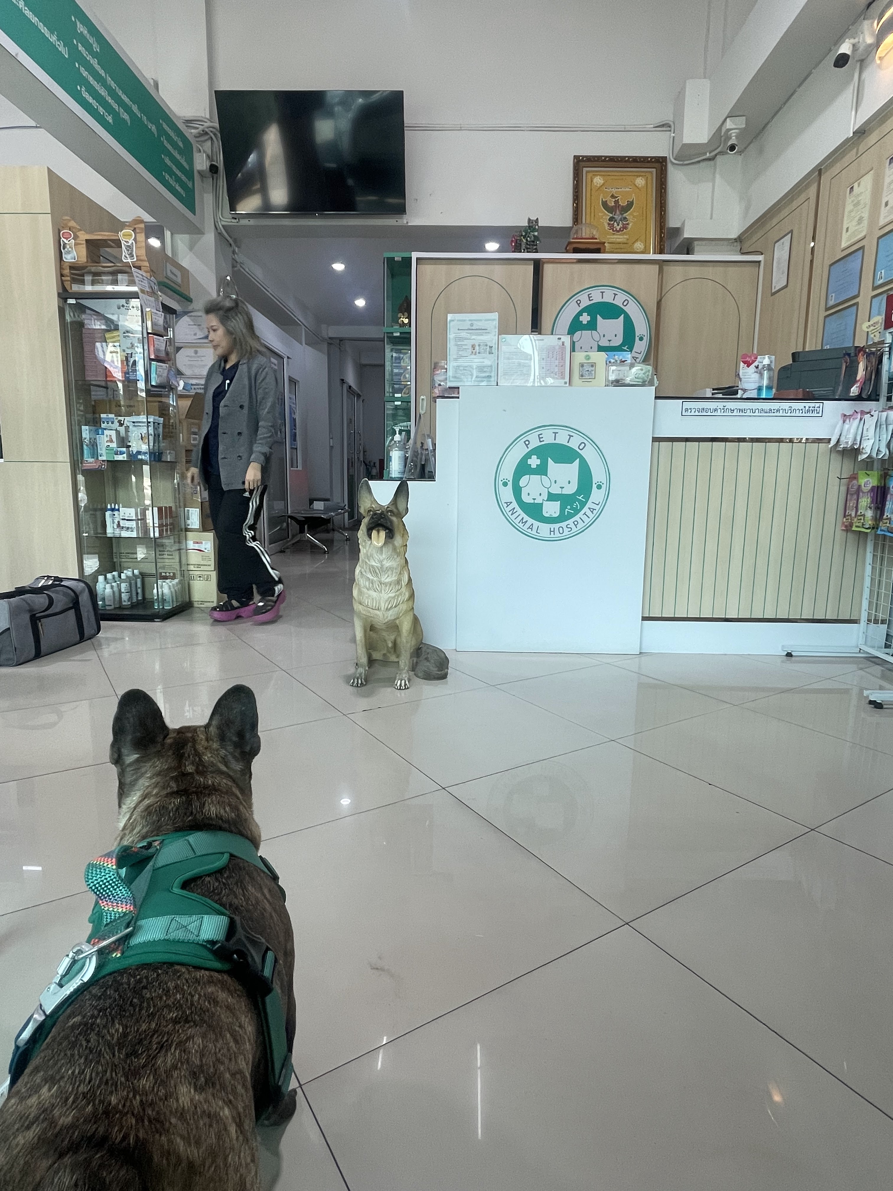 Petto clinic TH