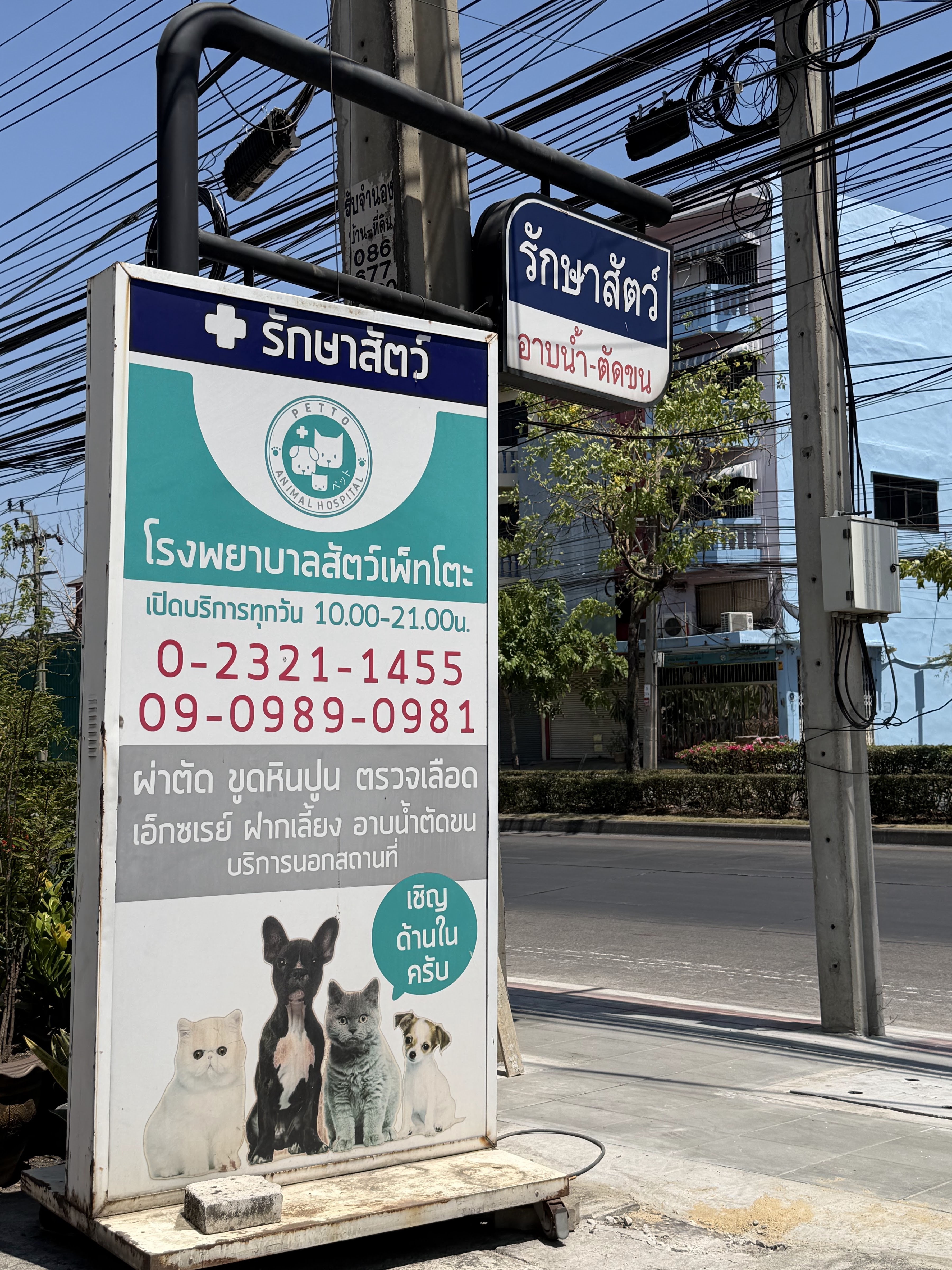 Petto clinic TH