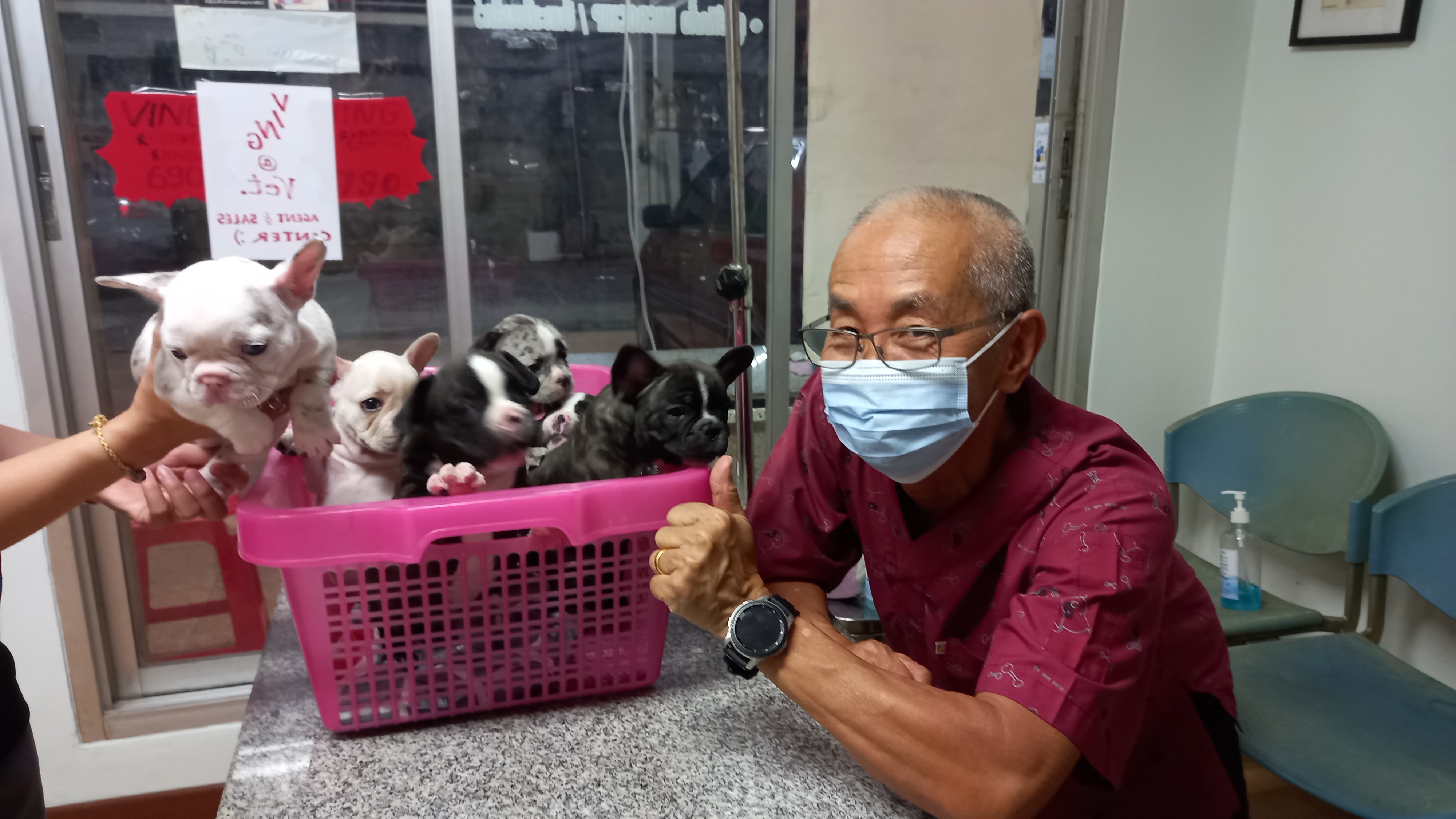 Phutthamonthon Animal Treatment