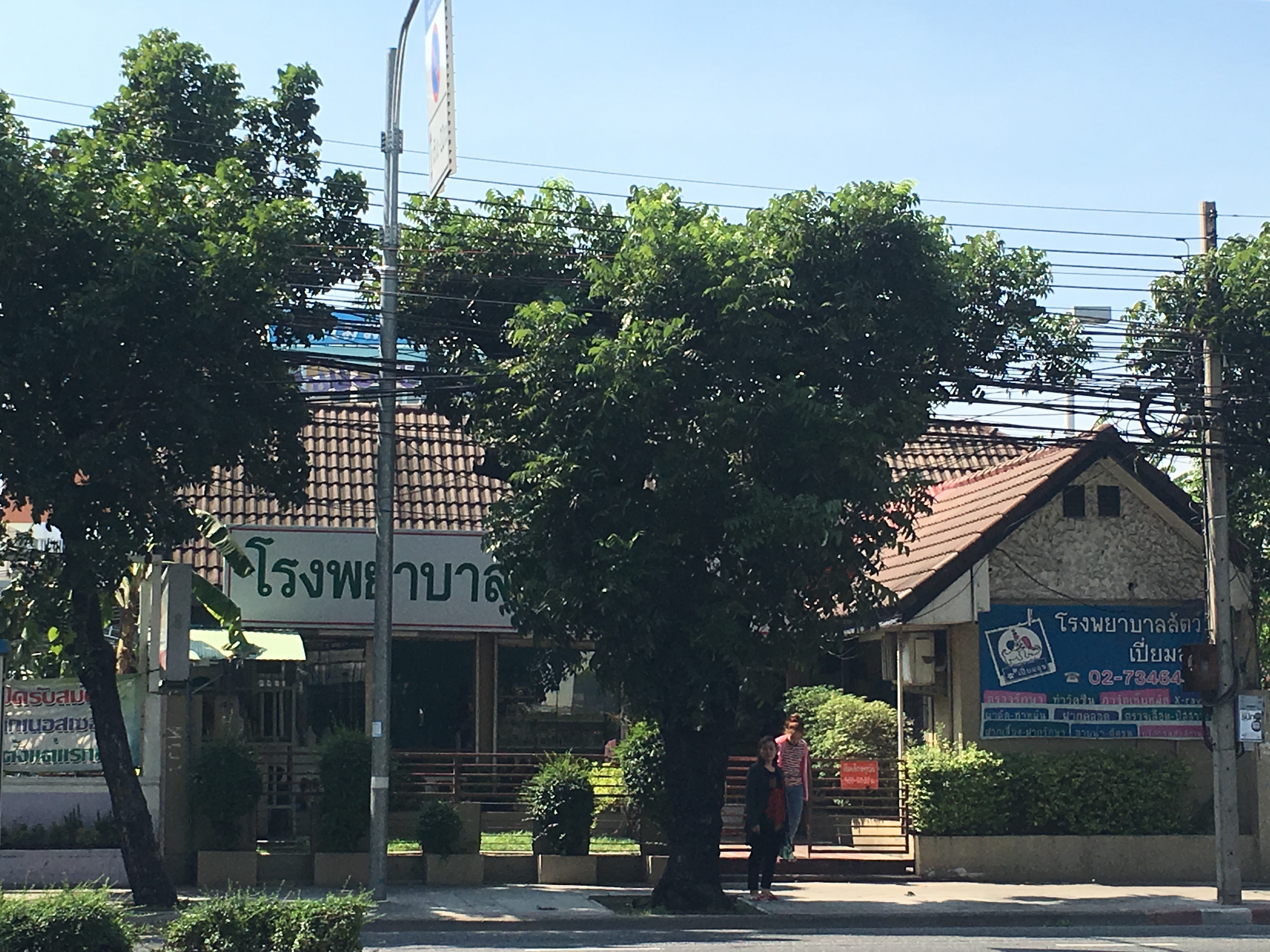Piamsuk Animal Hospital