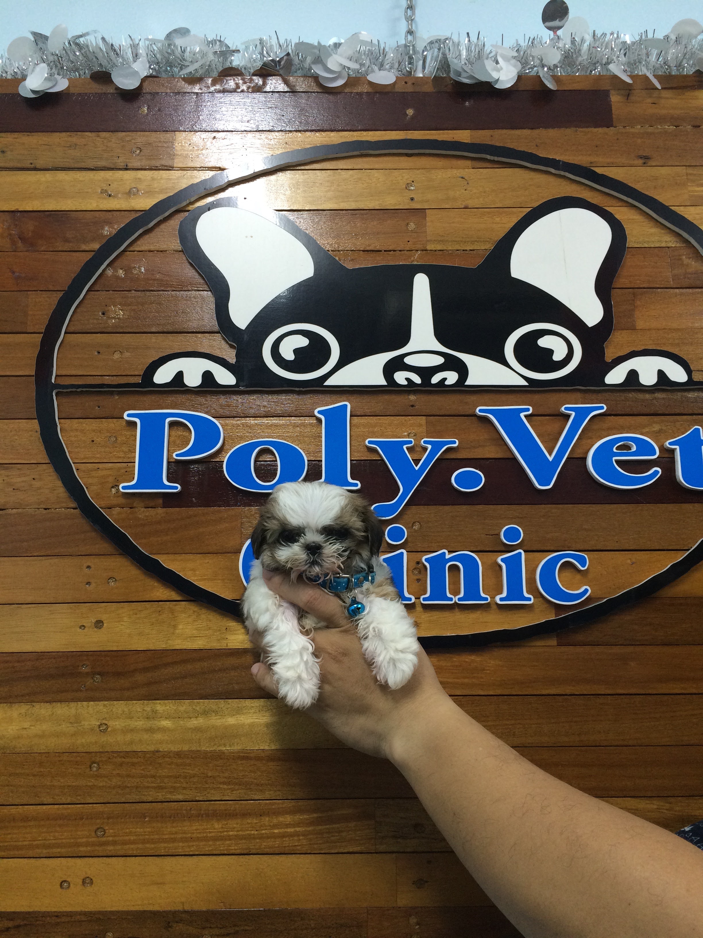 Poly Vet Clinic