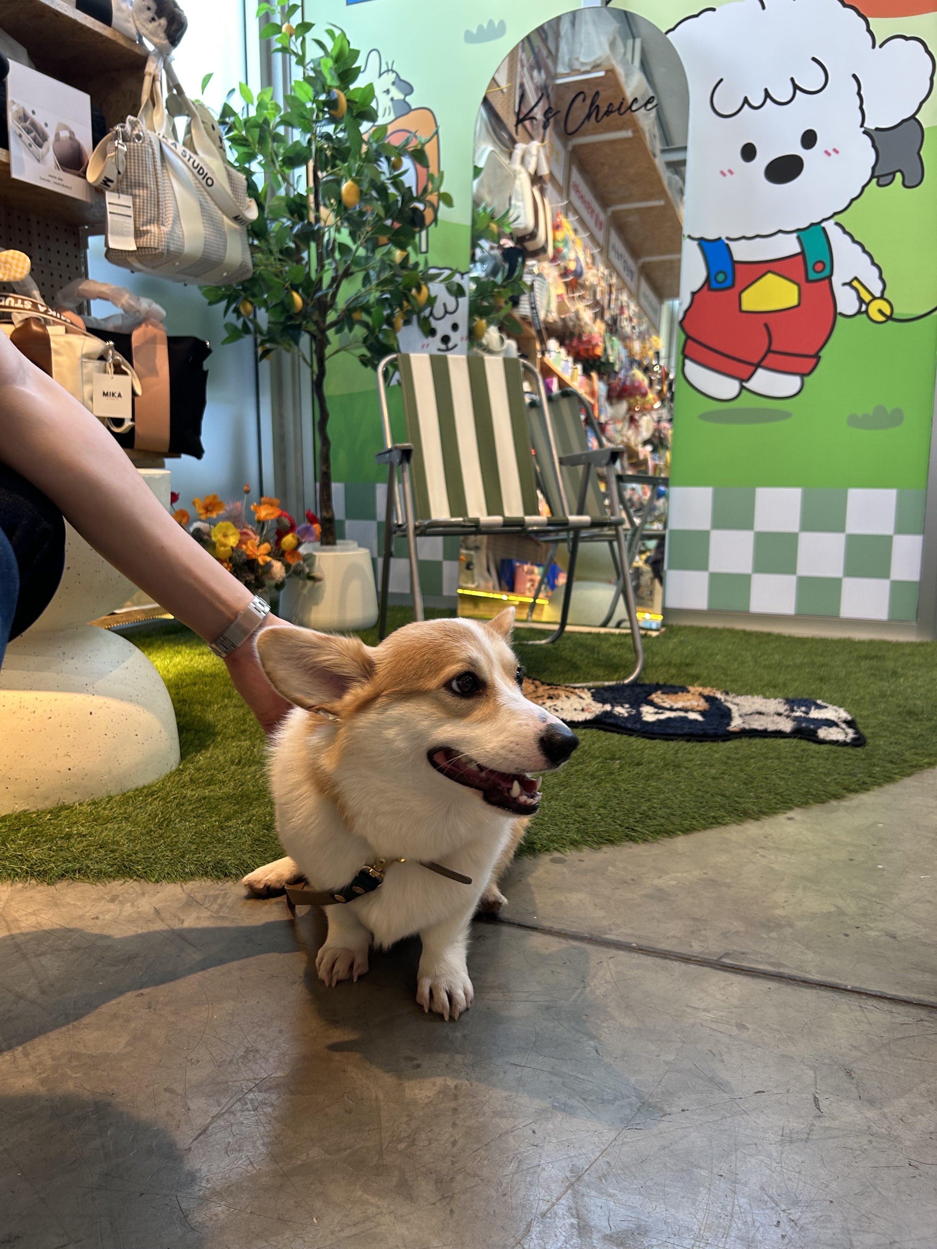 POWWOWWOW BKK
