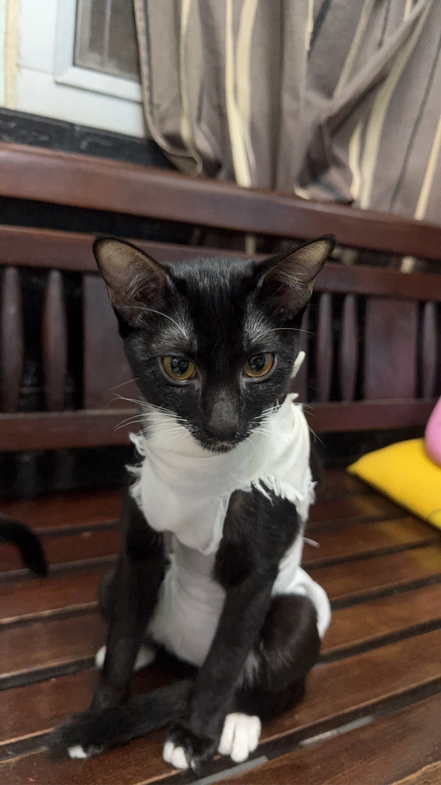 Pralong Vet Clinic