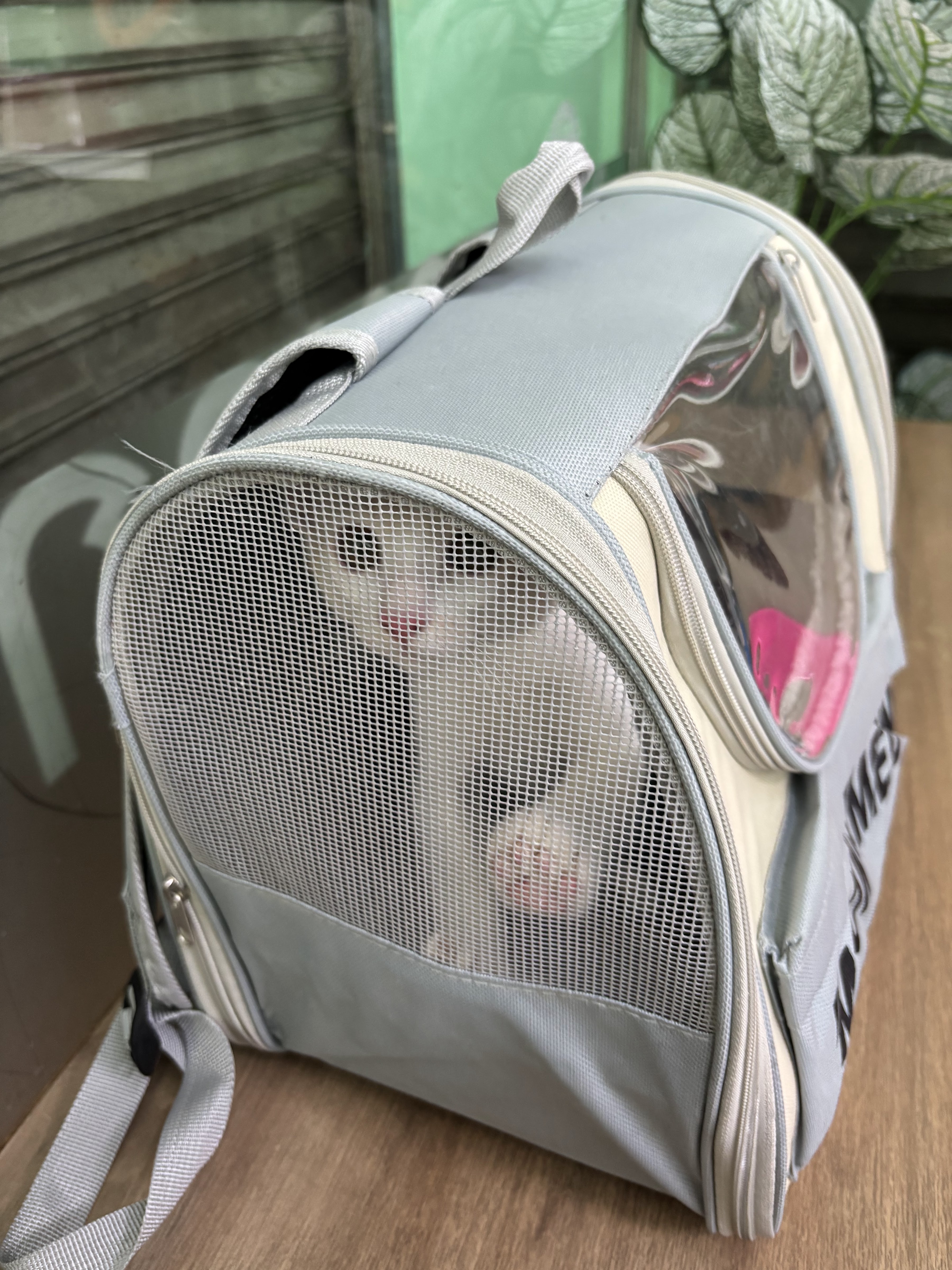 Puean Satueang Pet Clinic - Krungthep Non 35